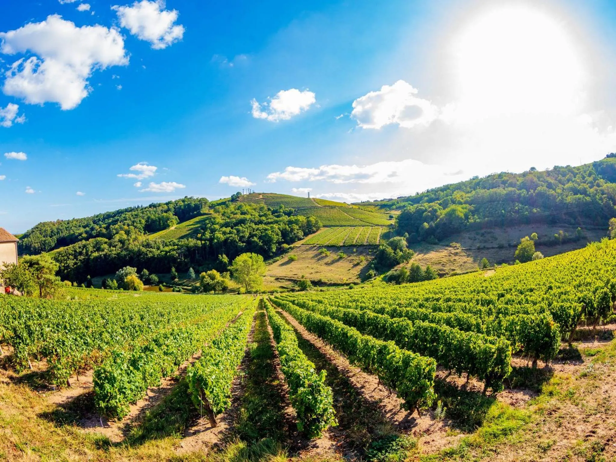 Other in Logis Hotel Noemys Morgon