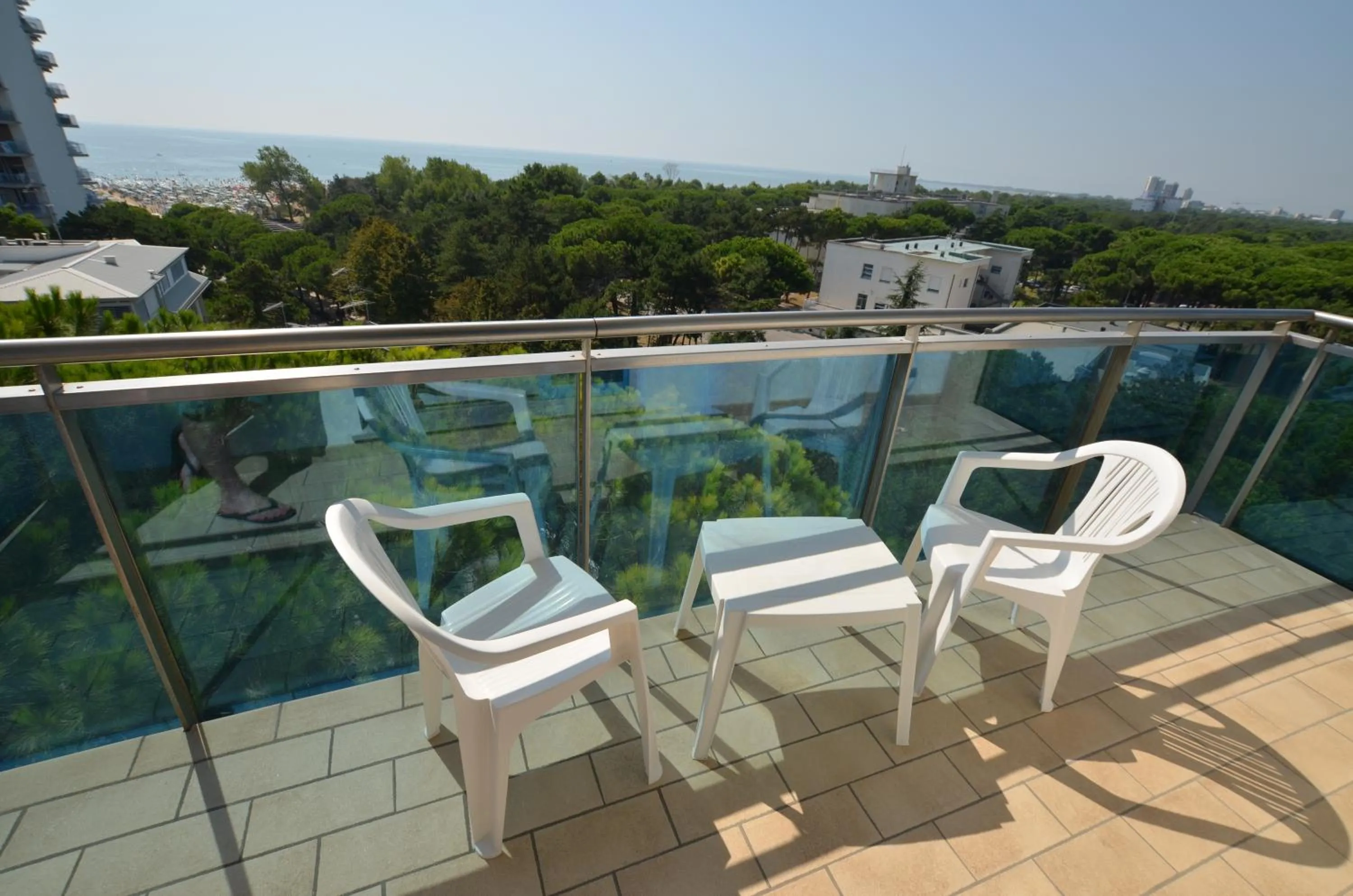 Balcony/Terrace in Hotel Cristallo