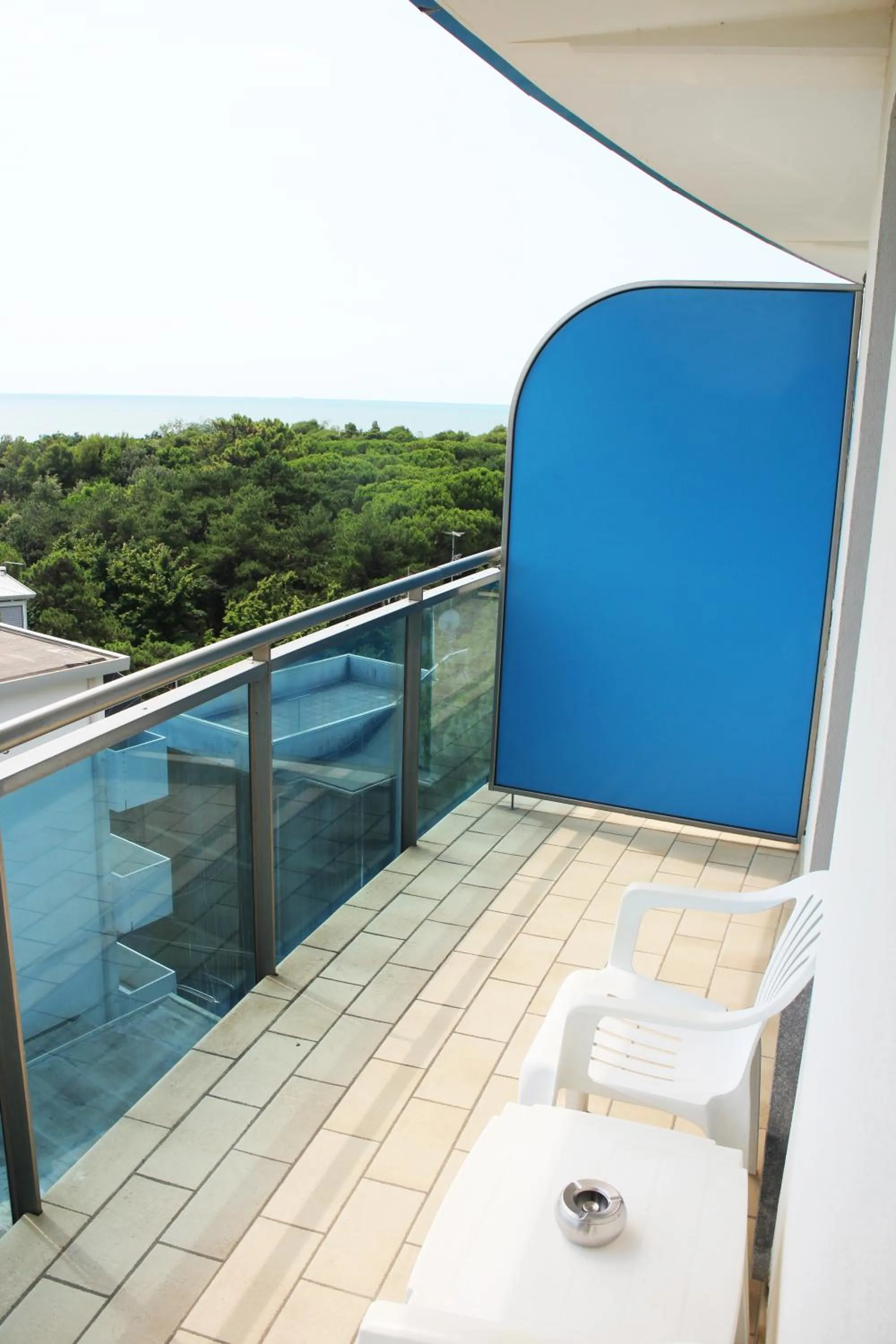 Balcony/Terrace in Hotel Cristallo