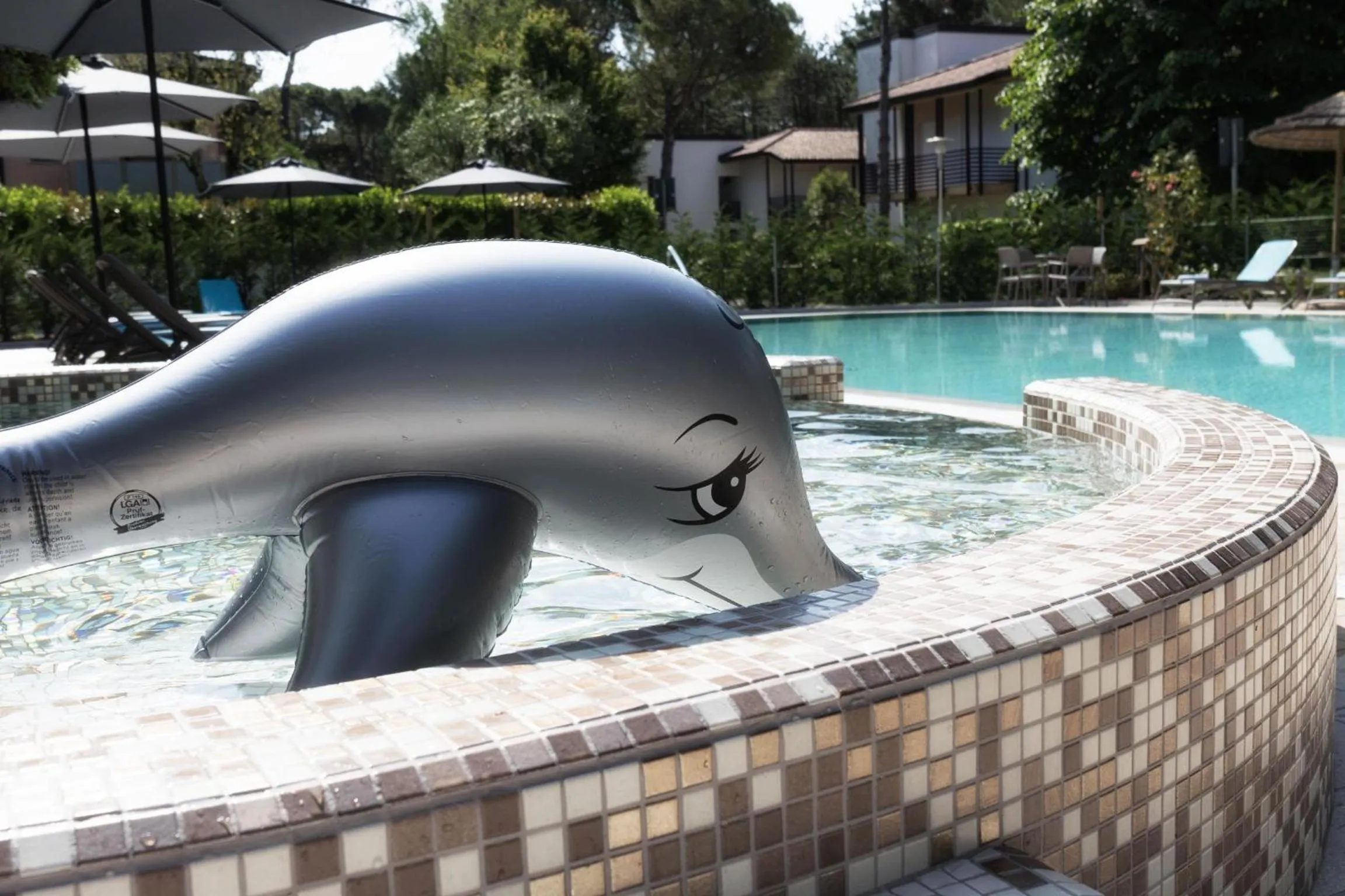 Swimming pool in Hotel Arizona