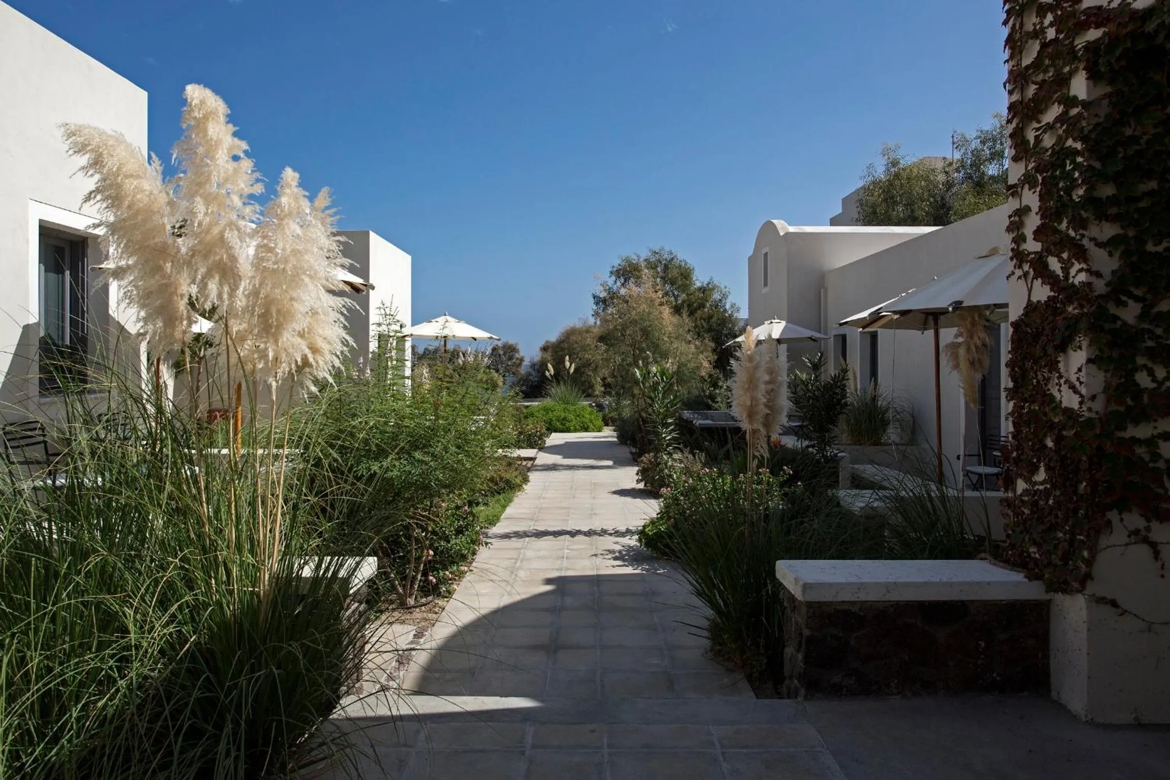 Day in Rose Bay Hotel