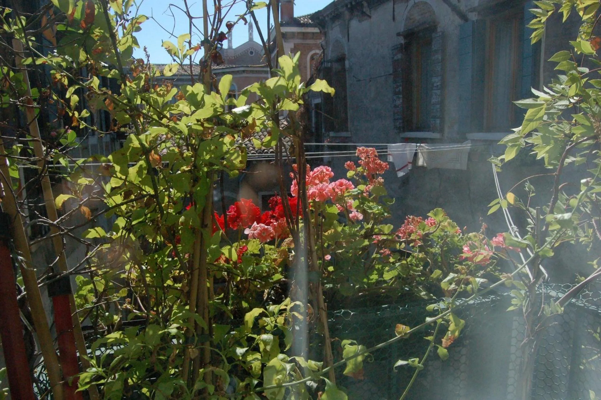 View (from property/room) in Ca' Riccio