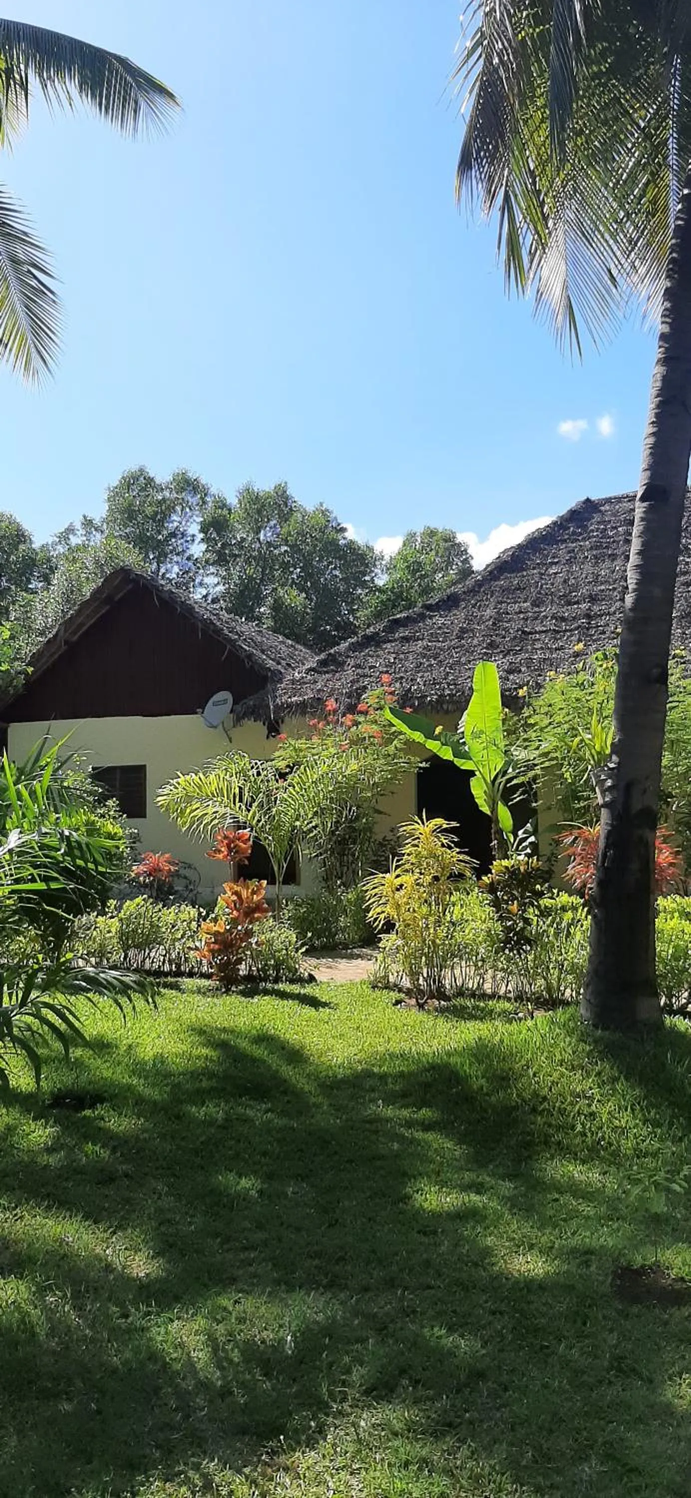Garden view in Le Moya Beach