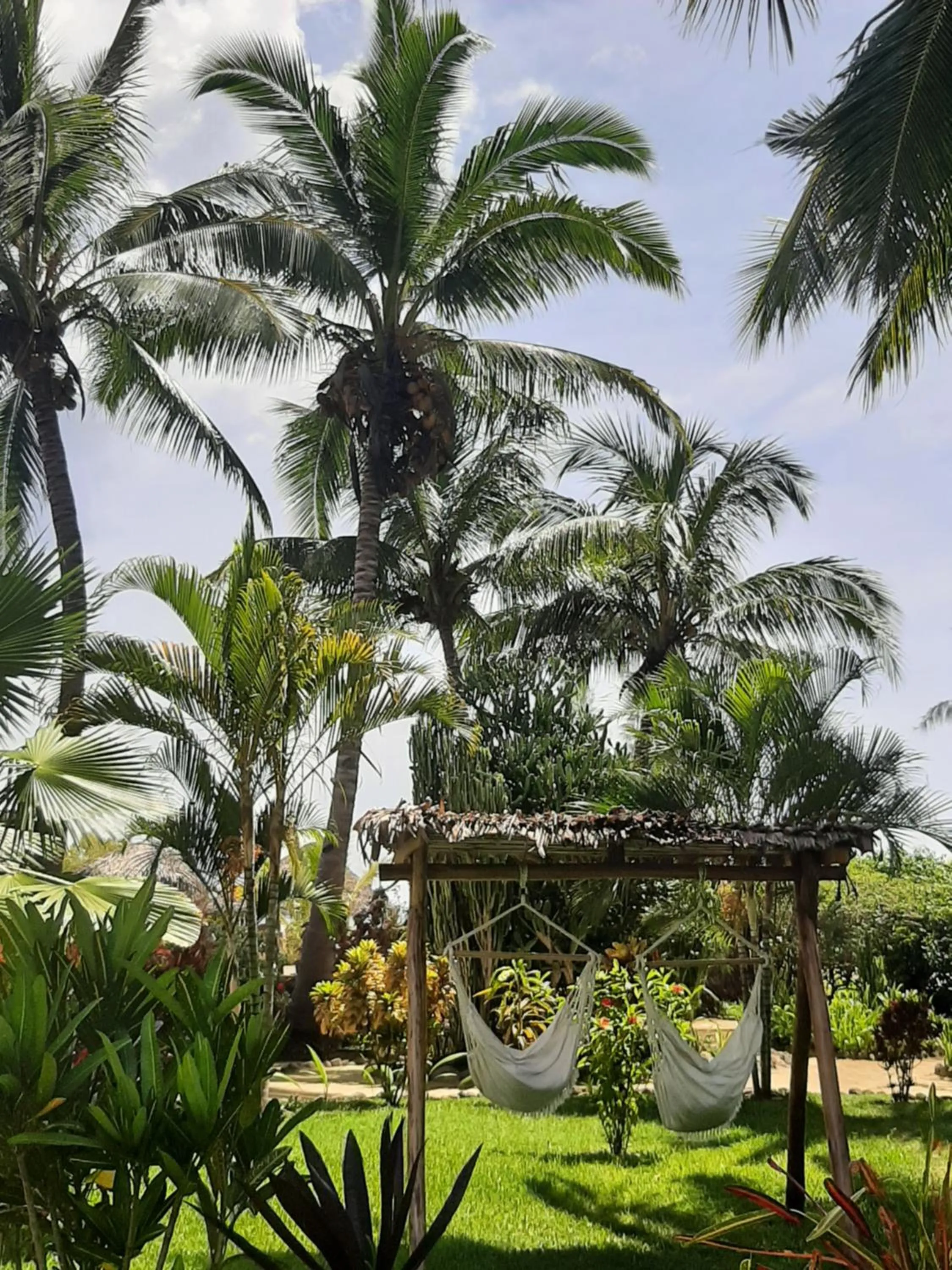 Garden in Le Moya Beach