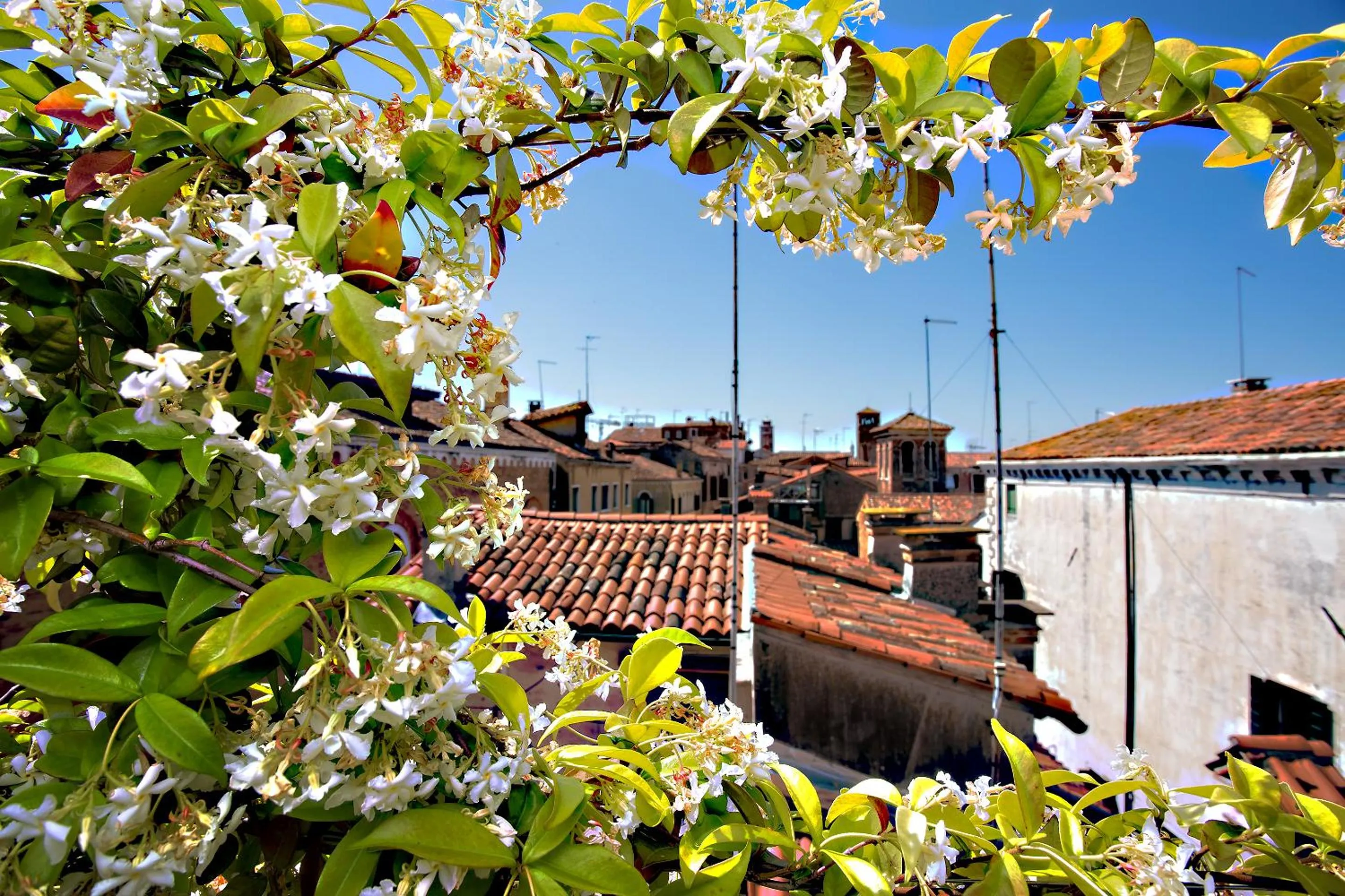 Spring in Ca' San Giorgio B&B