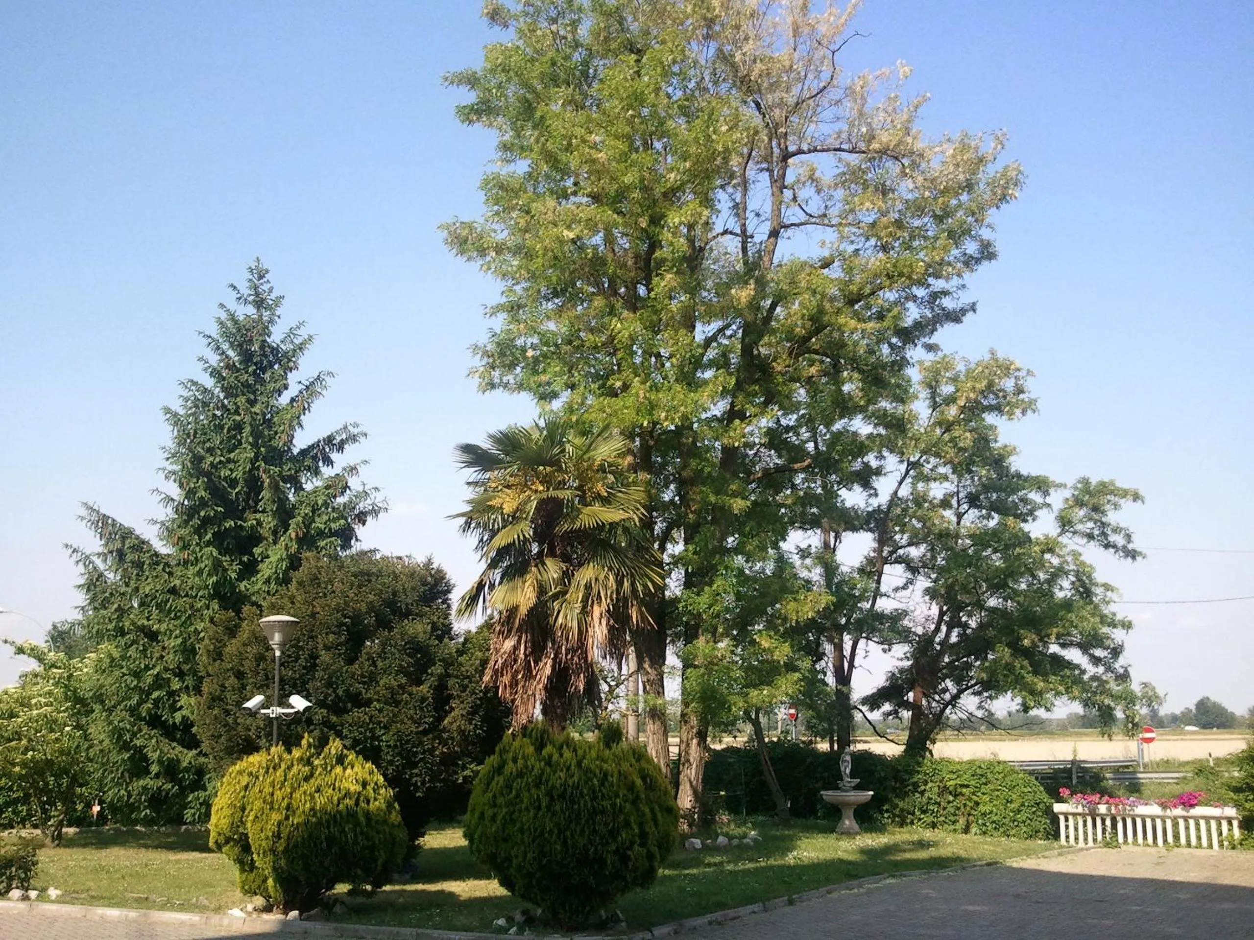 Garden in Hotel Europa Milano
