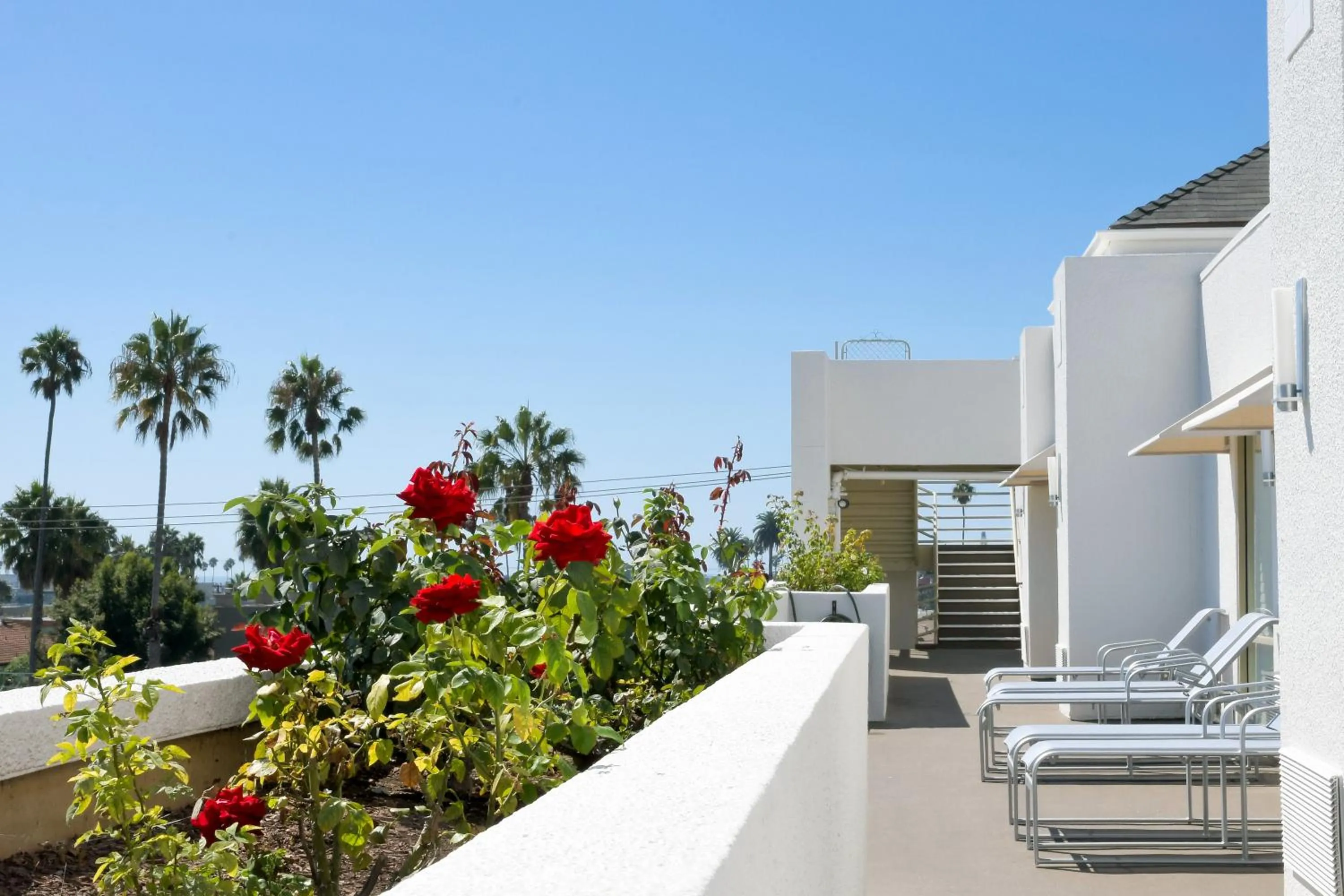 sunbed in Gateway Hotel Santa Monica