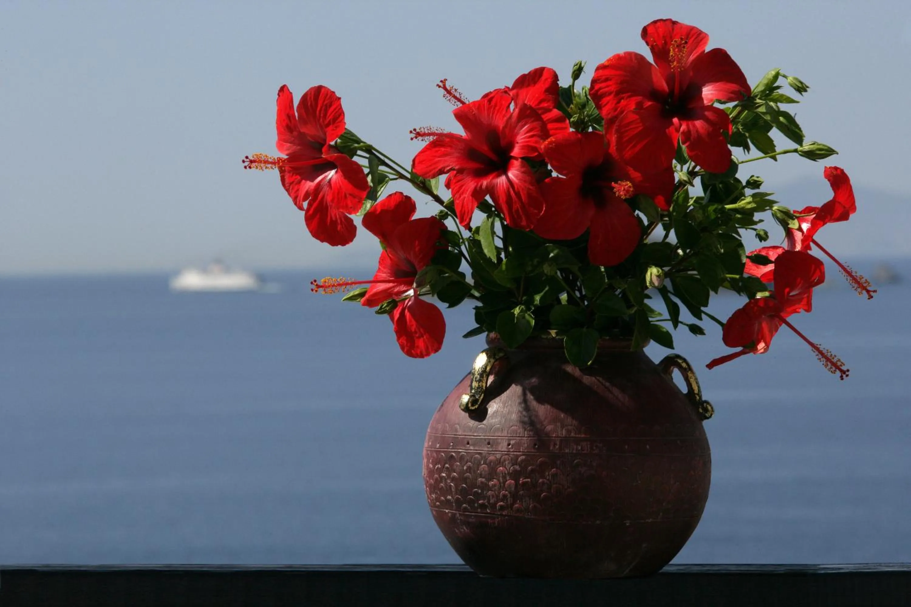 Garden in Andros Holiday Hotel