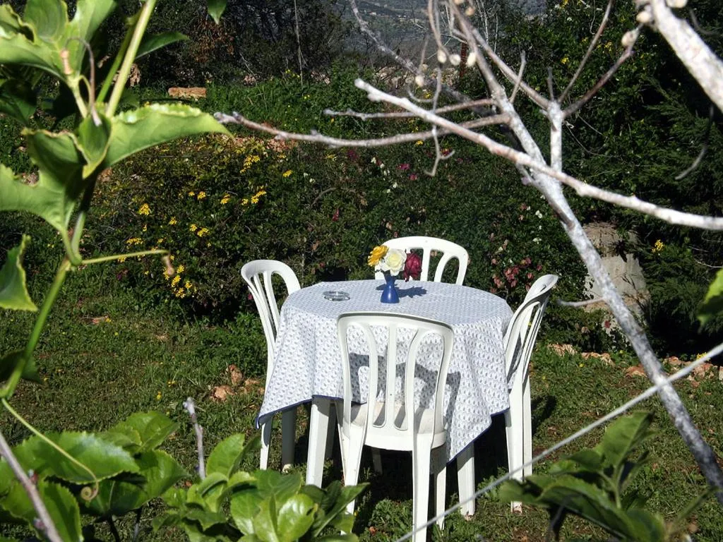Garden in Cabin In The View