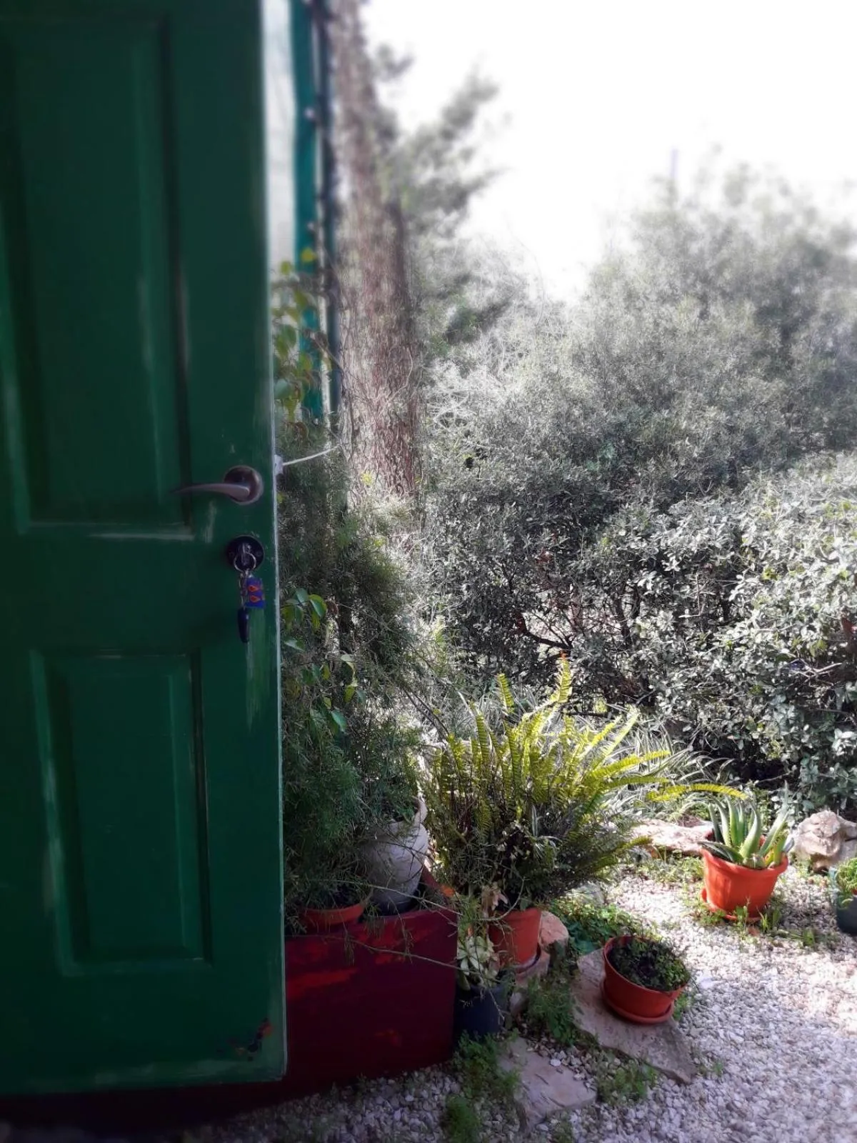 On site in Cabin In The View