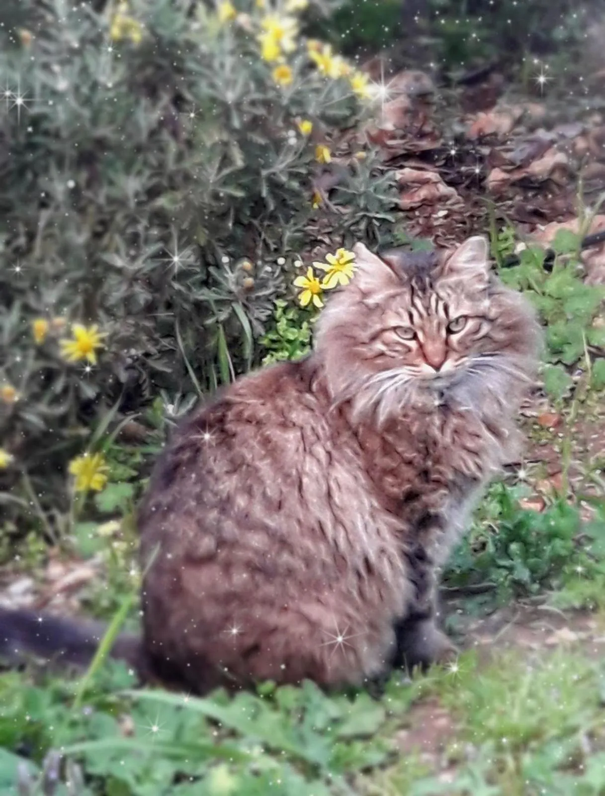 Family in Cabin In The View