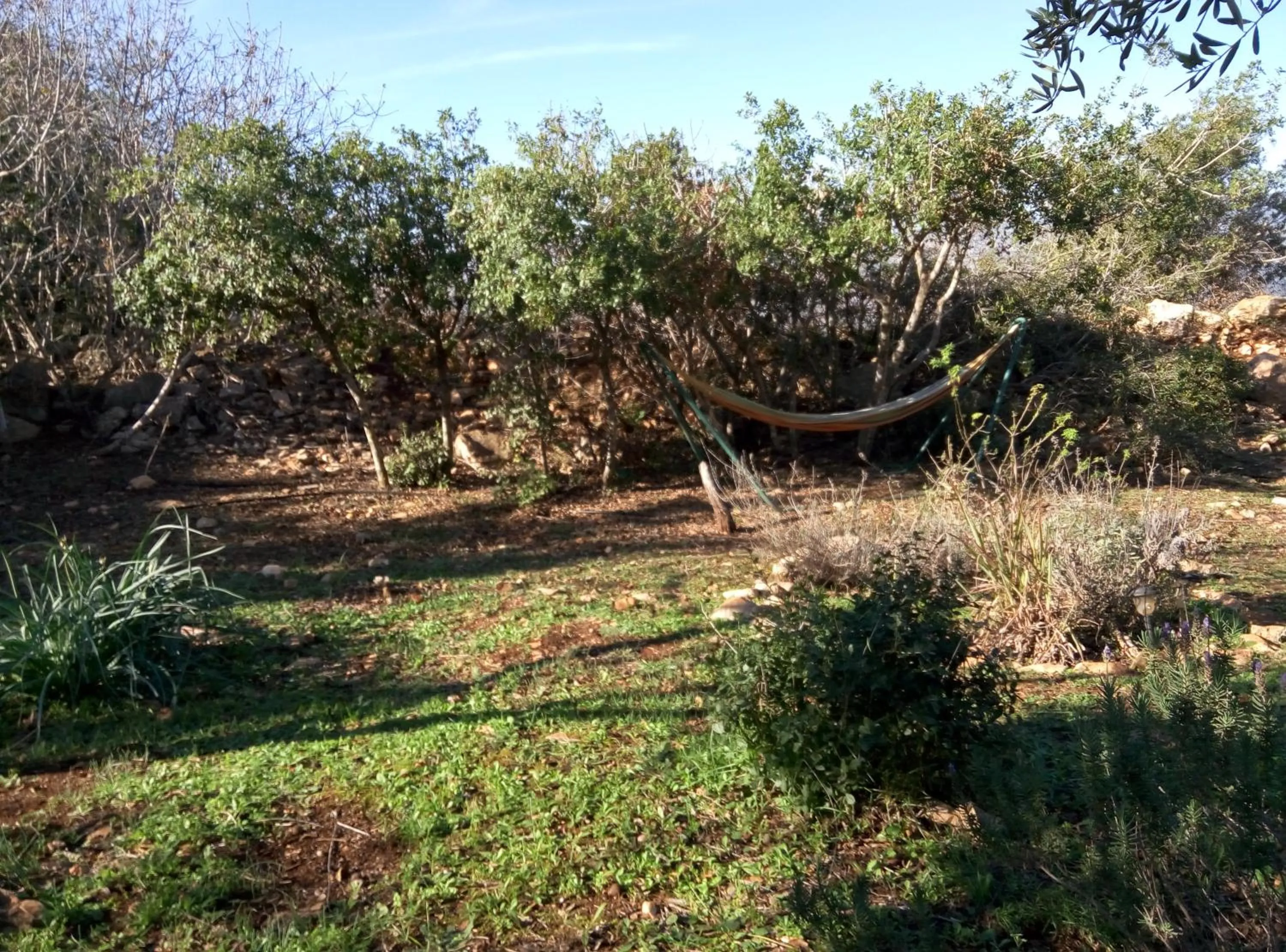 Garden in Cabin In The View