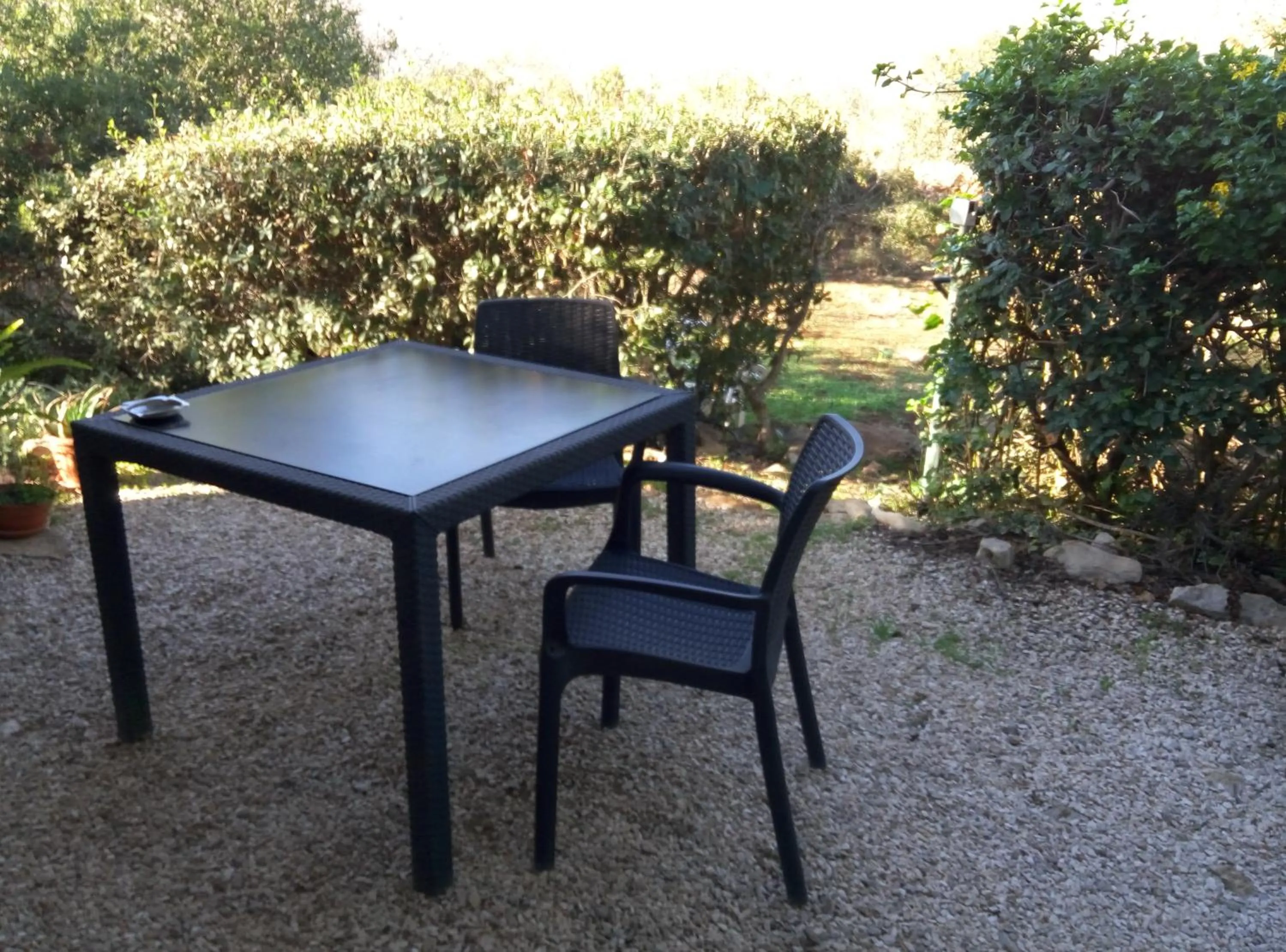 Garden in Cabin In The View