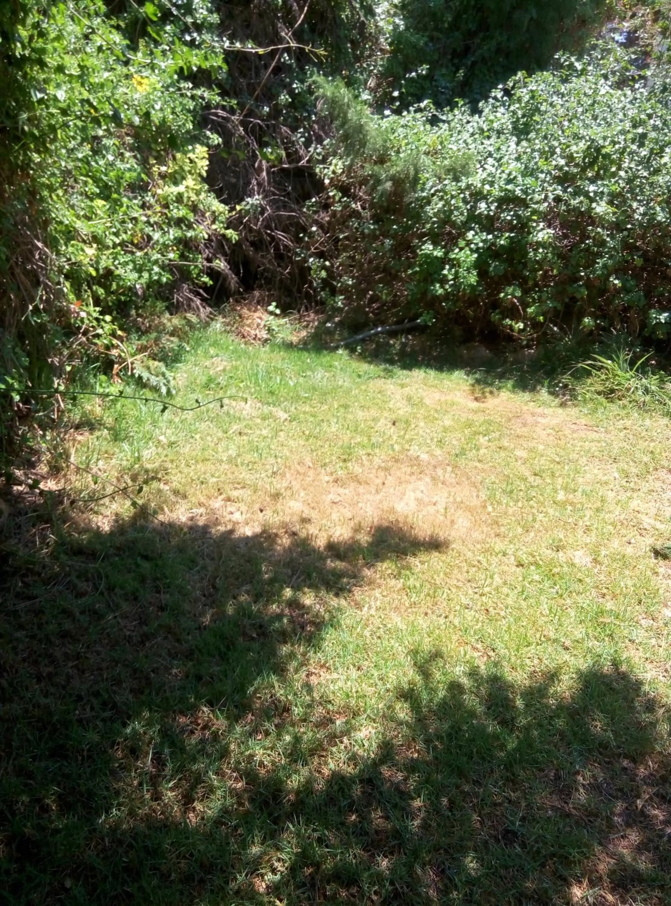 Garden view in Cabin In The View