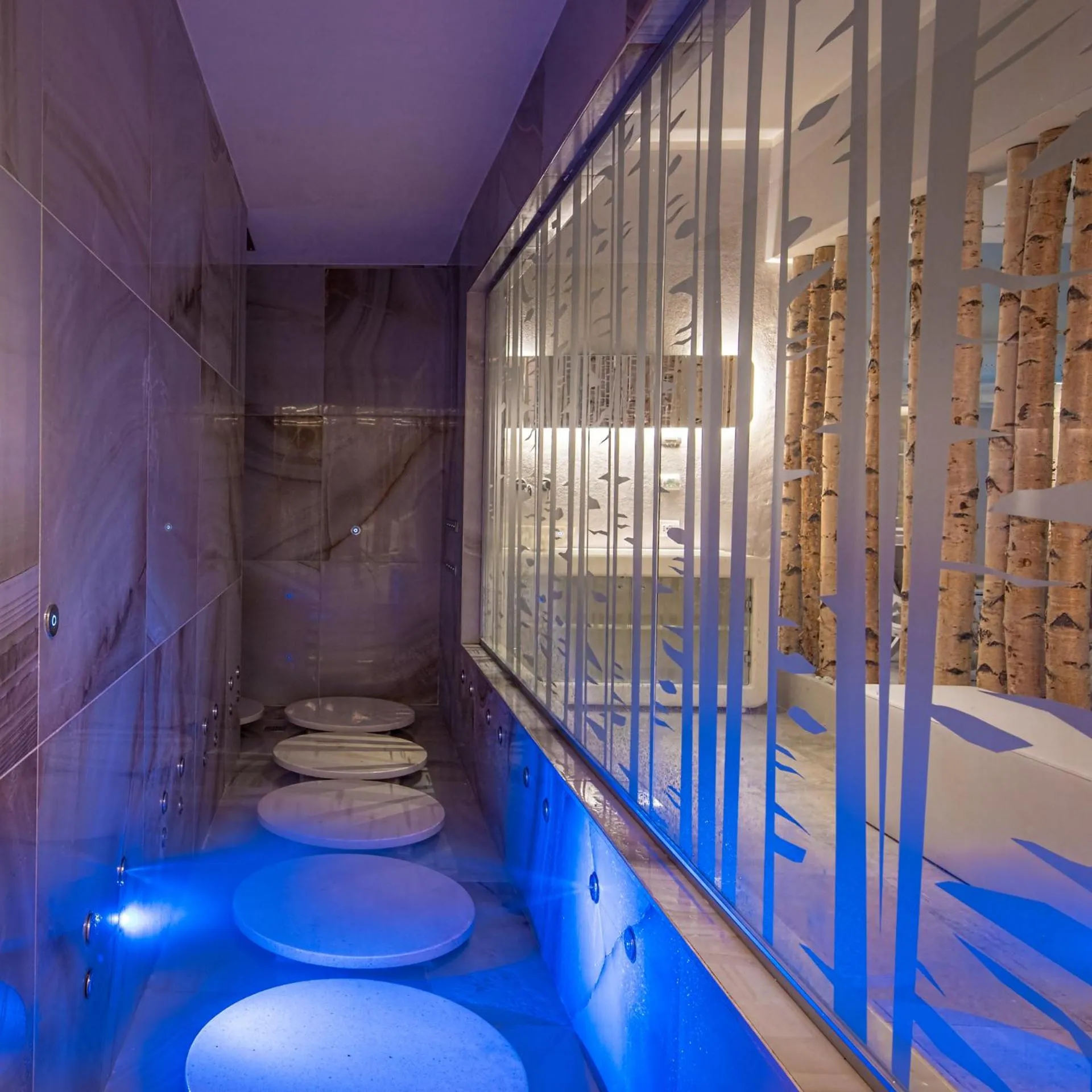 Spa and wellness centre/facilities in Hotel Terme Vena D'Oro