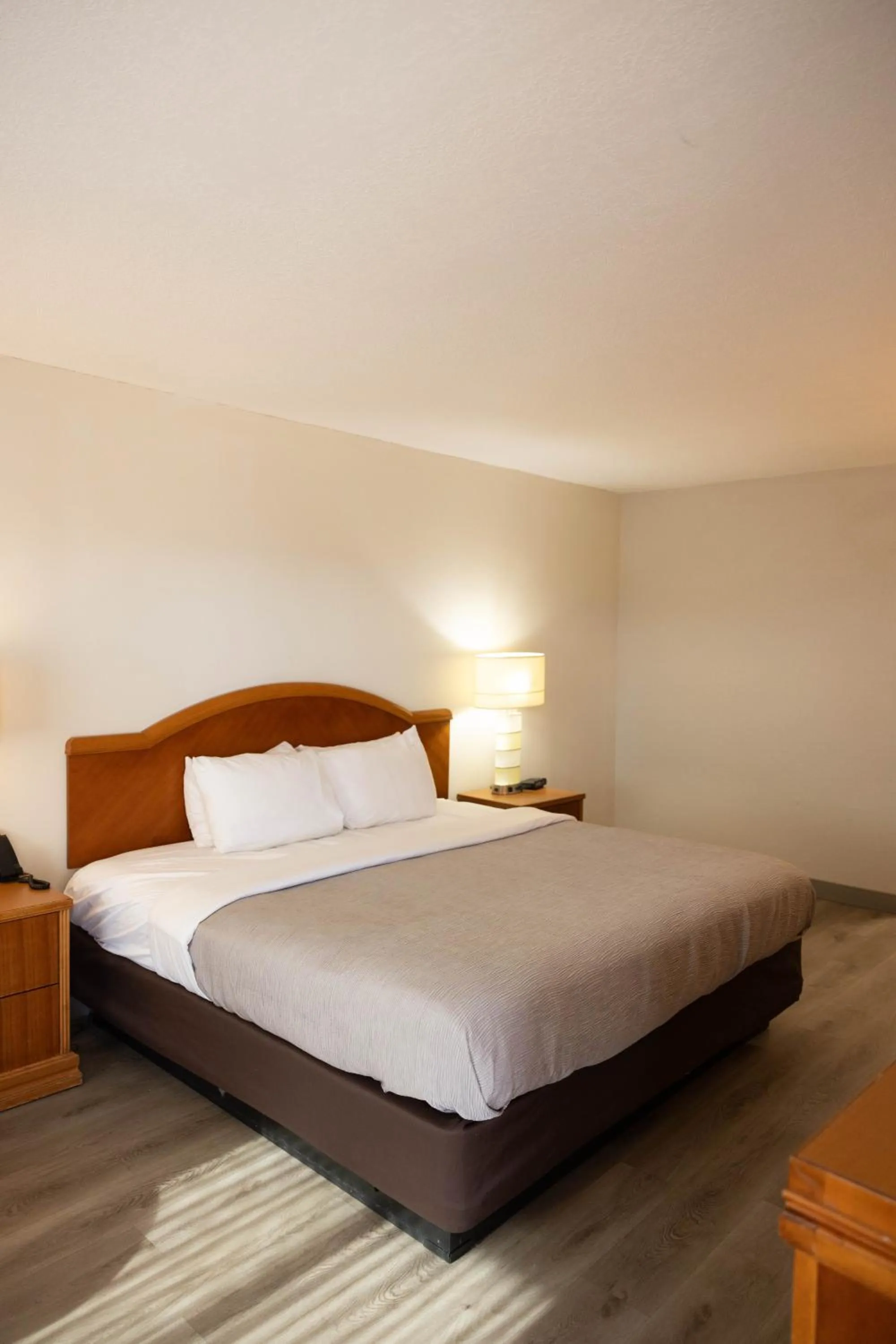 Bed in Quality Inn & Suites Lake Havasu City