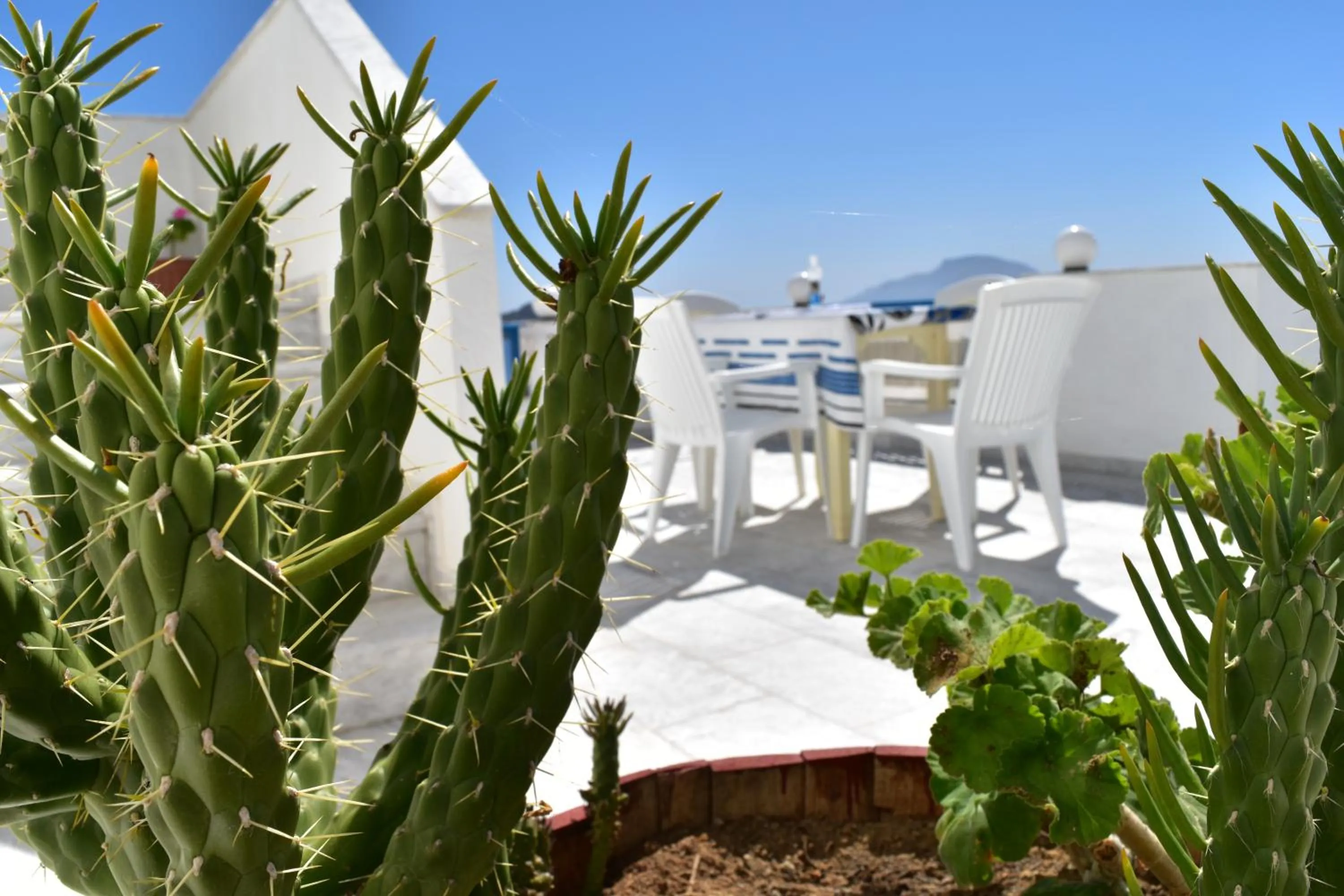 Balcony/Terrace in Arhontiko Hotel