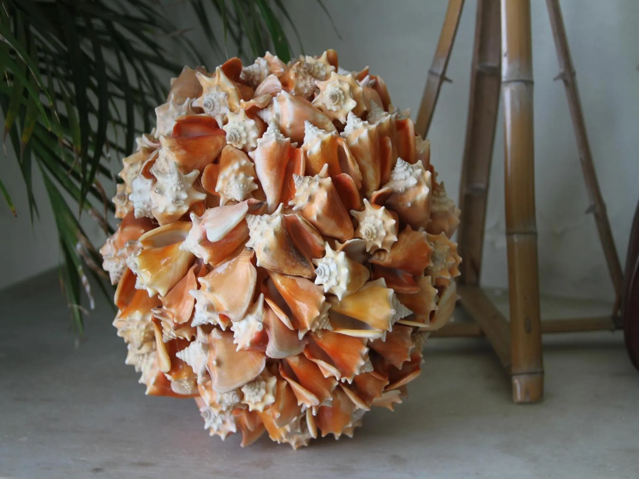 Area and facilities in Pousada Boulevard