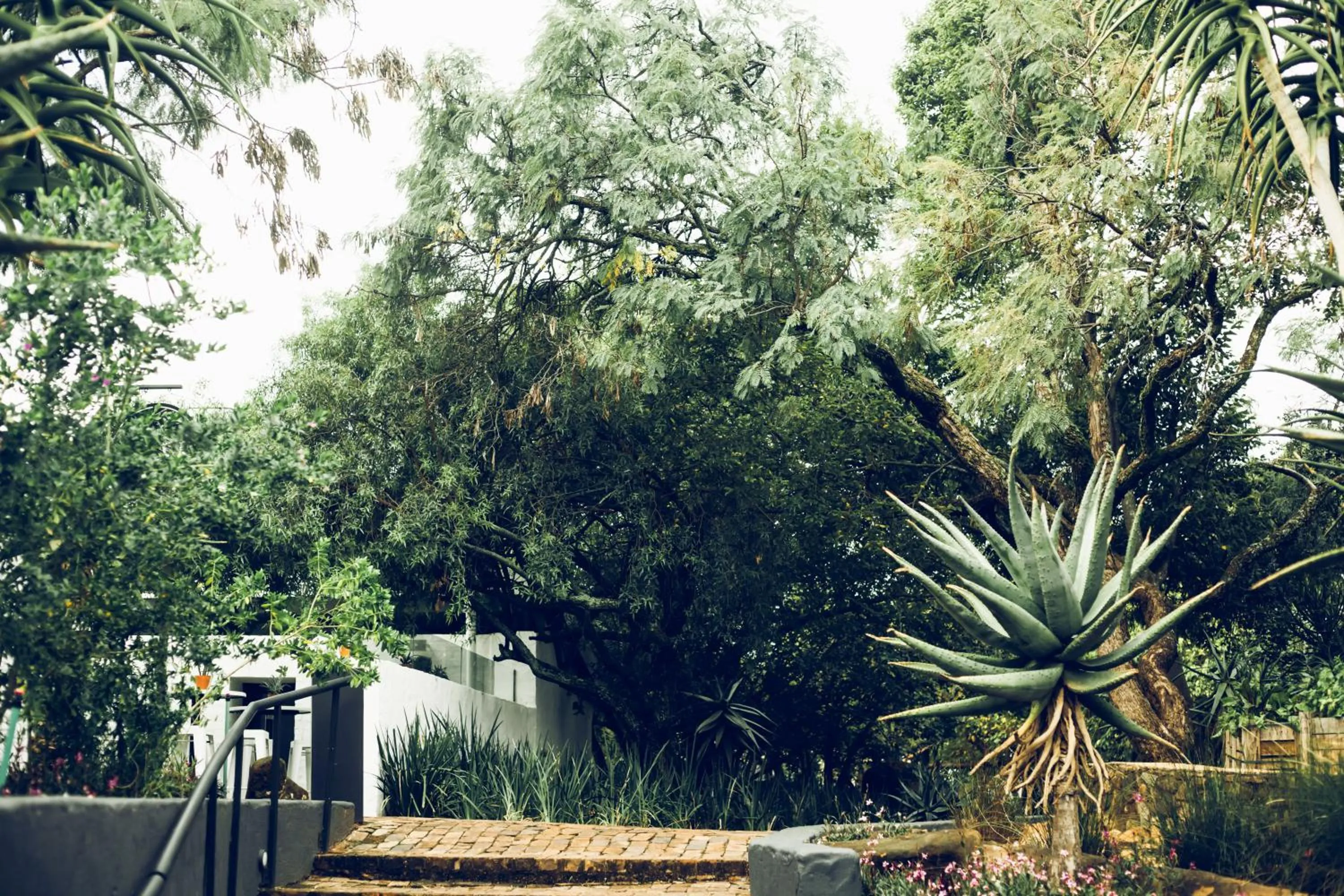 Natural landscape in Bly B&B