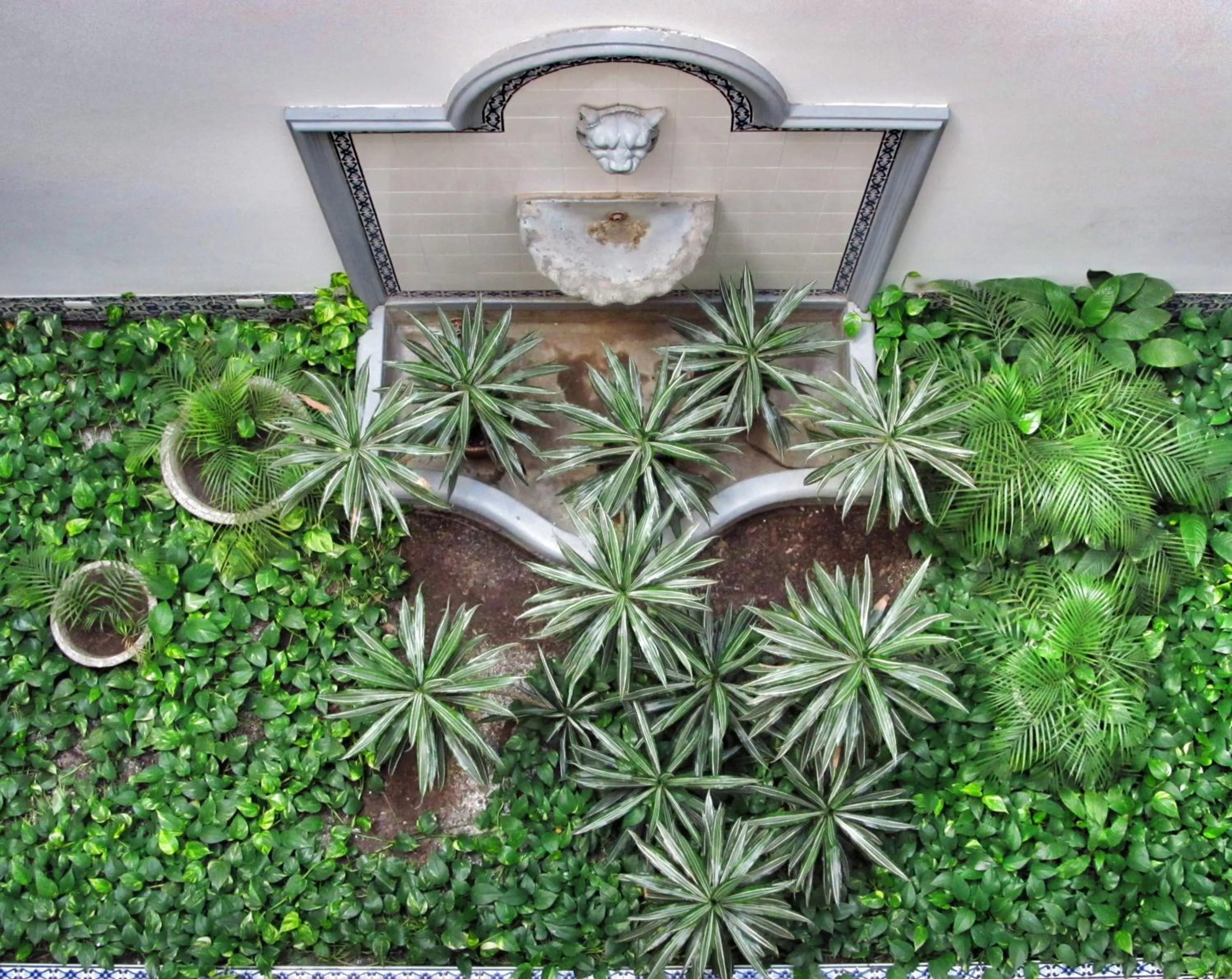 Garden in Solar De La Plaza