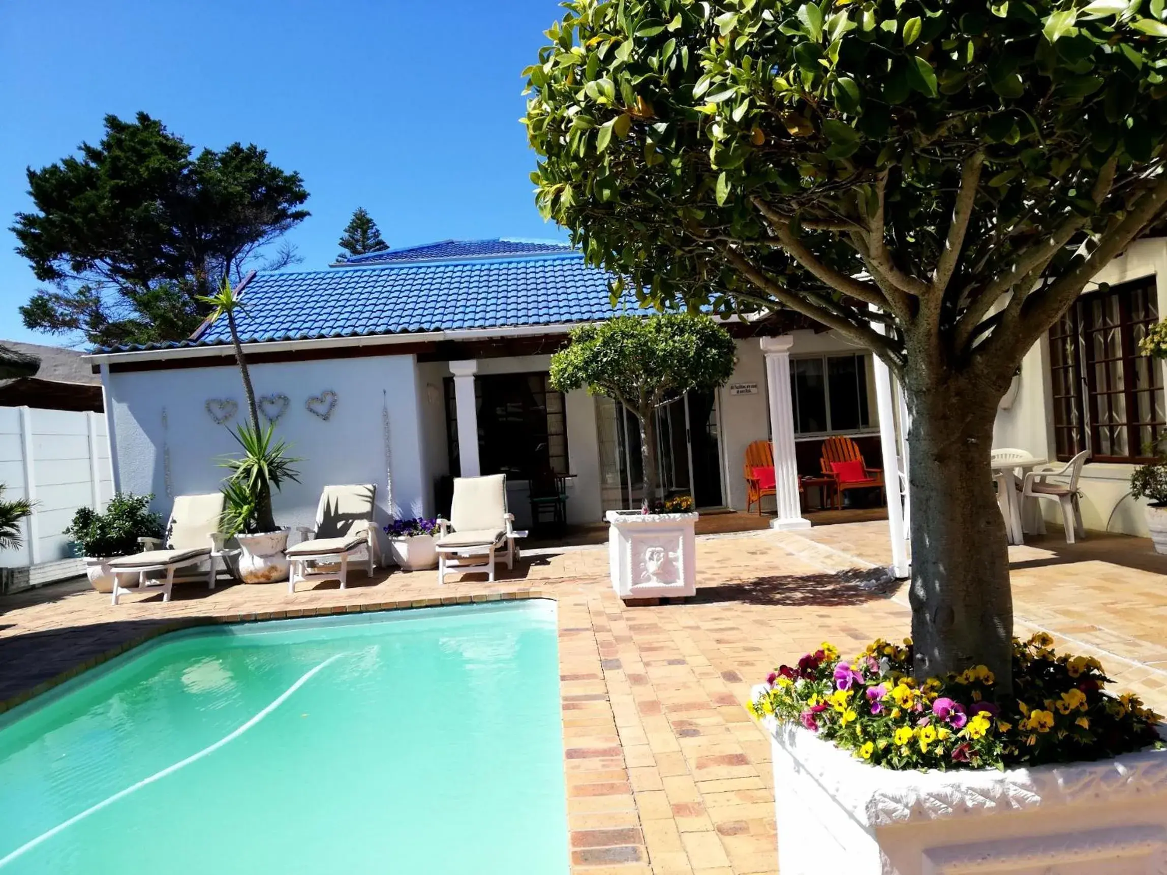 Dolphin Inn Blouberg Dolphin Inn Blouberg