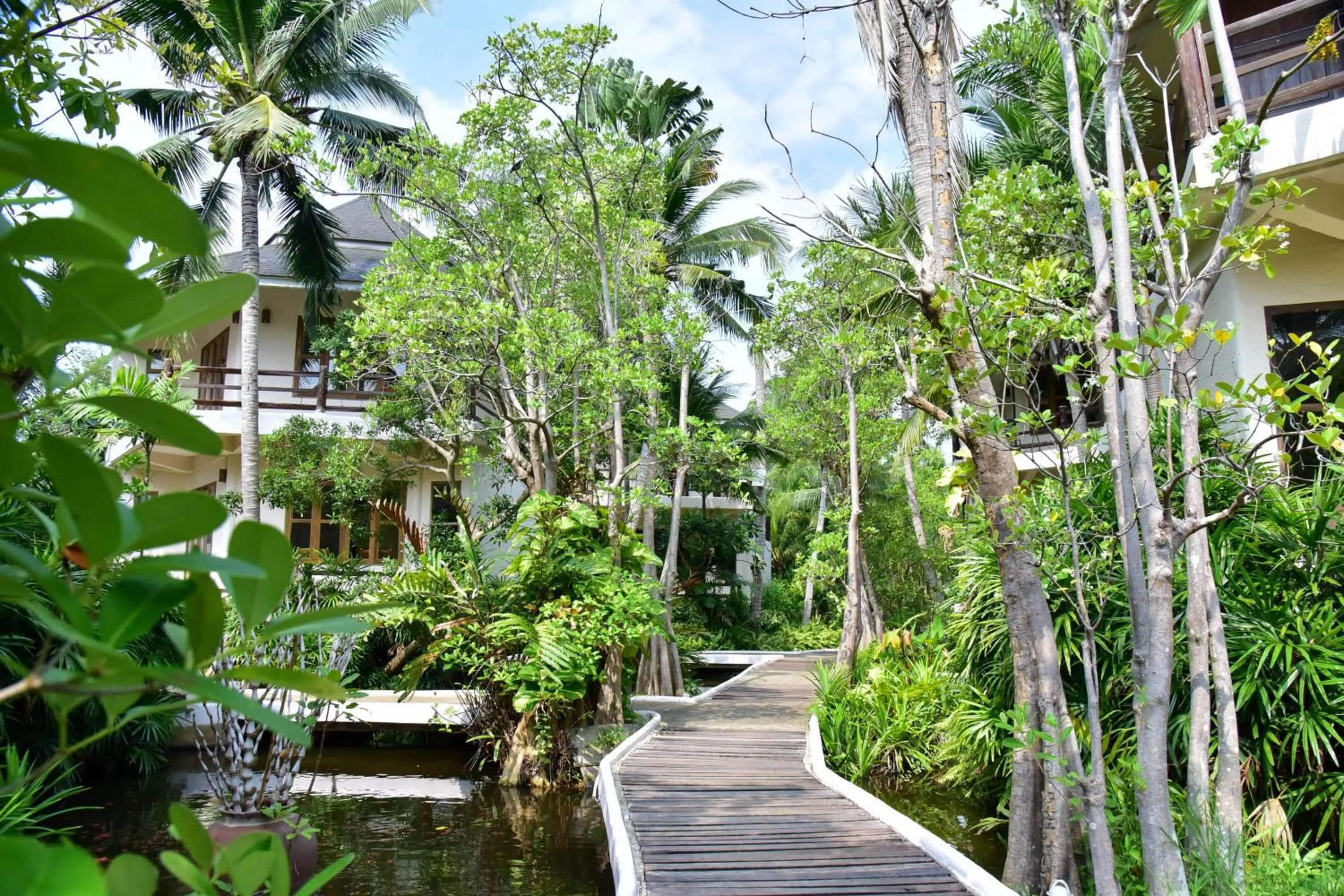 Natural landscape in Tanaosri Resort Pranburi