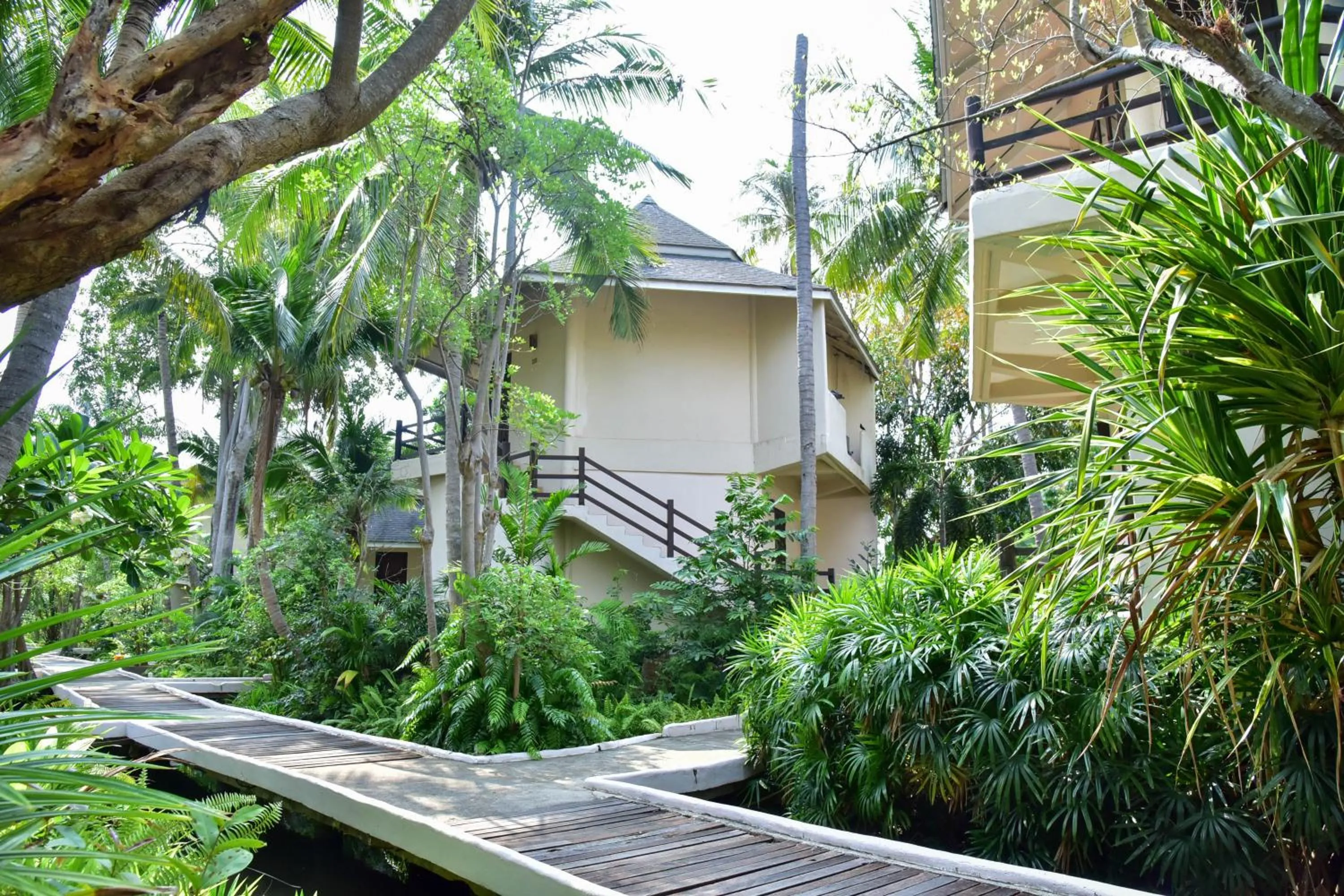 Natural landscape in Tanaosri Resort Pranburi