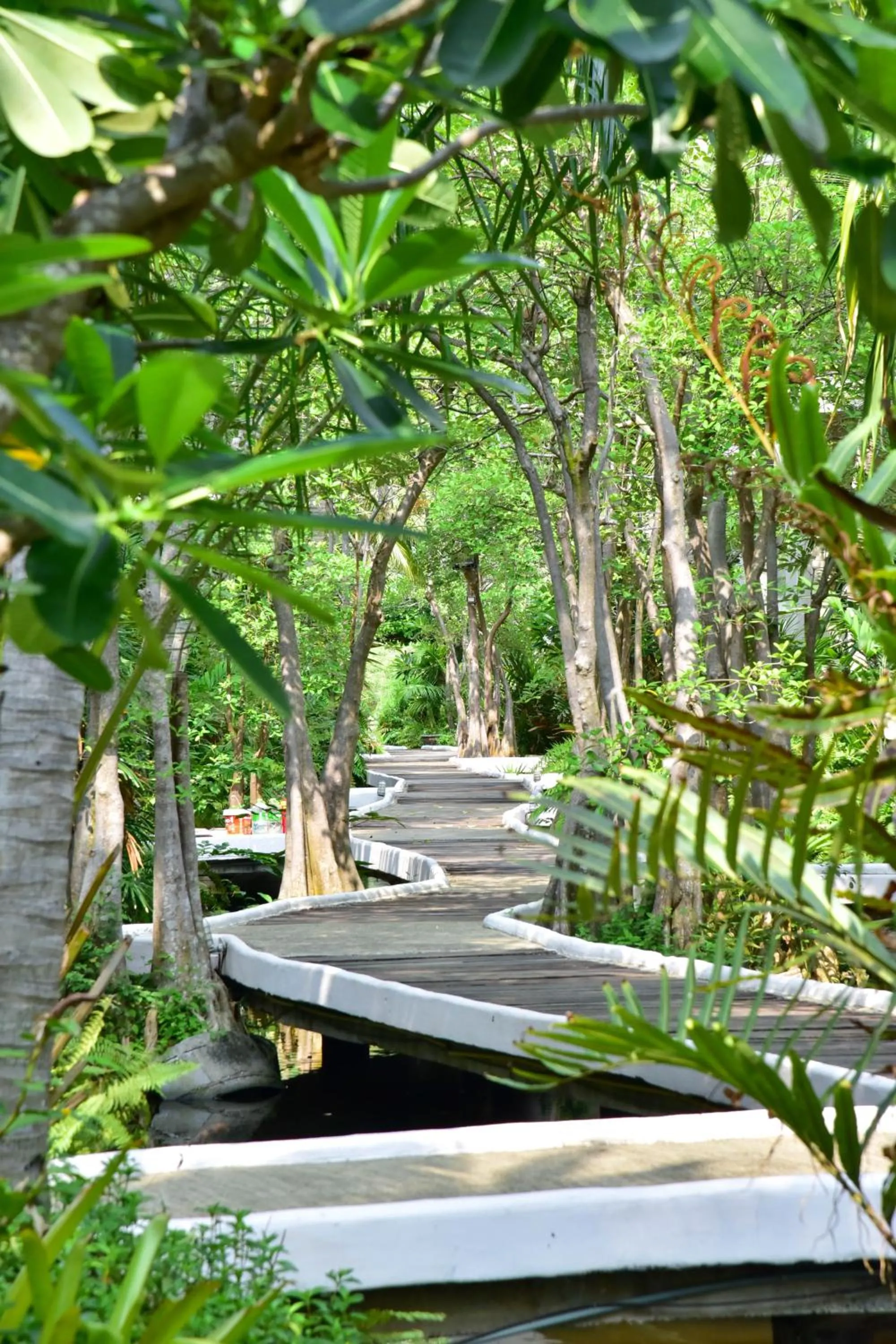 Garden in Tanaosri Resort Pranburi