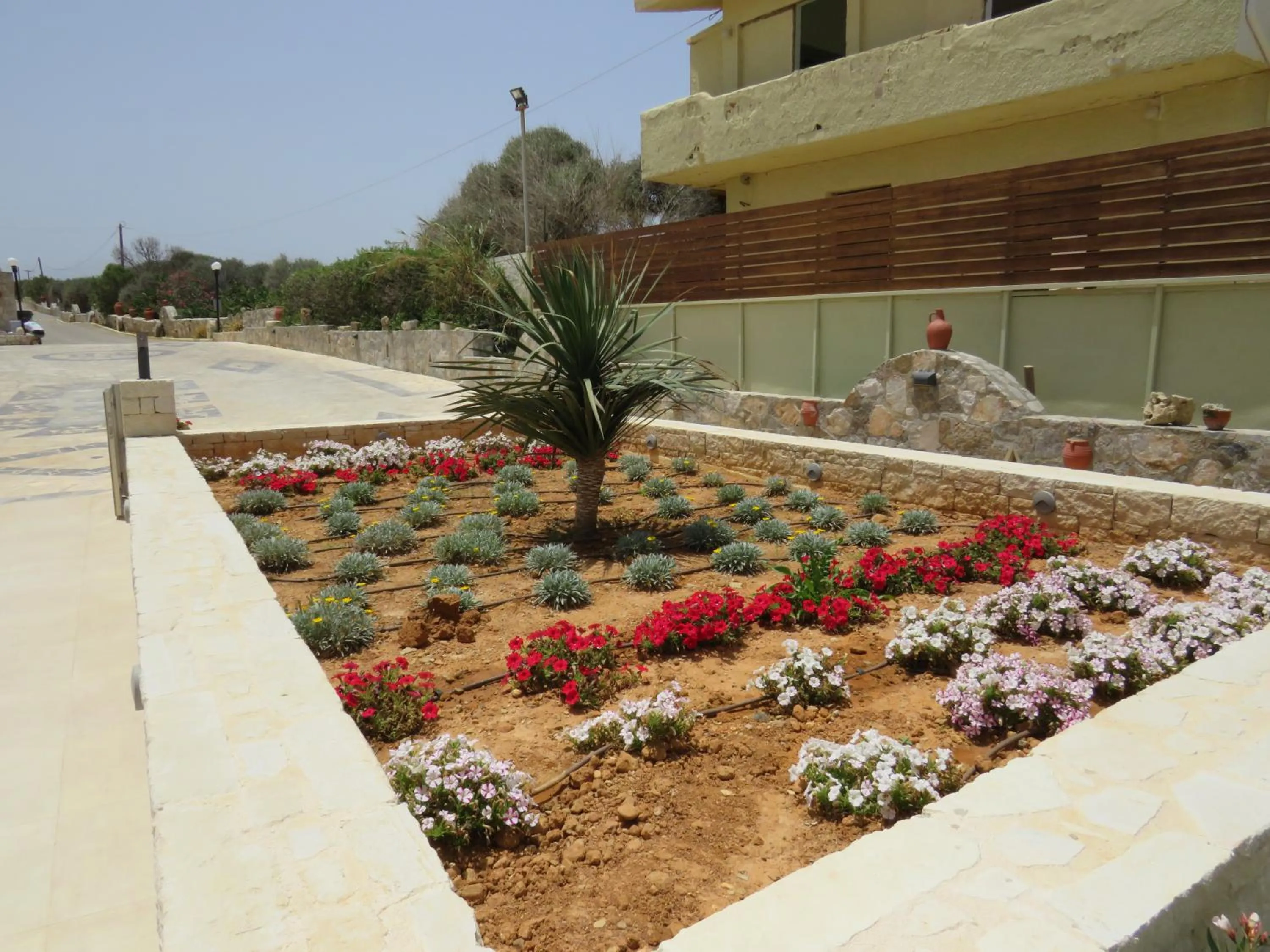 Garden in Blue Beach Villas Apartments