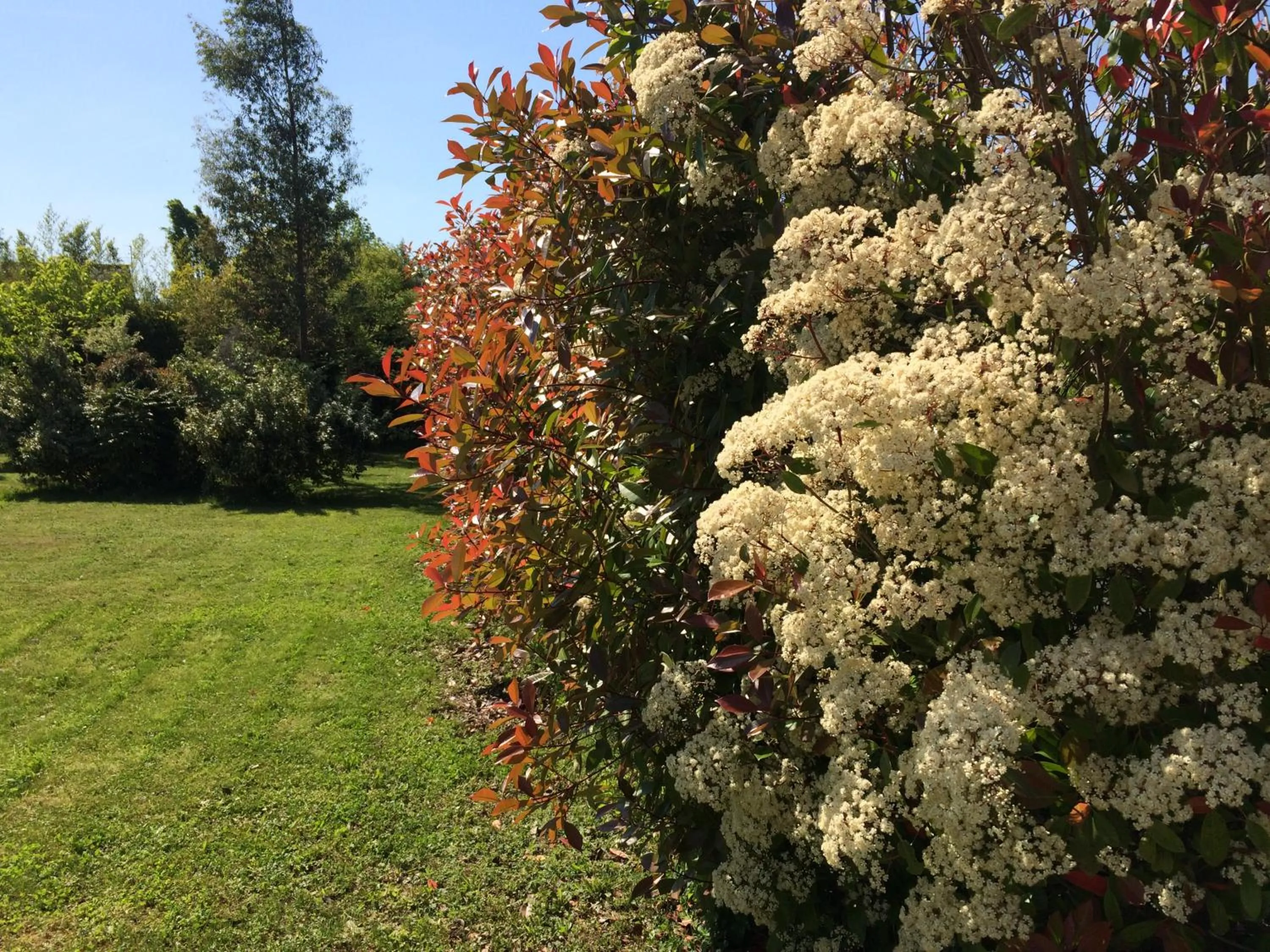 Garden in CoTTAGE LA VILLA BOLERO