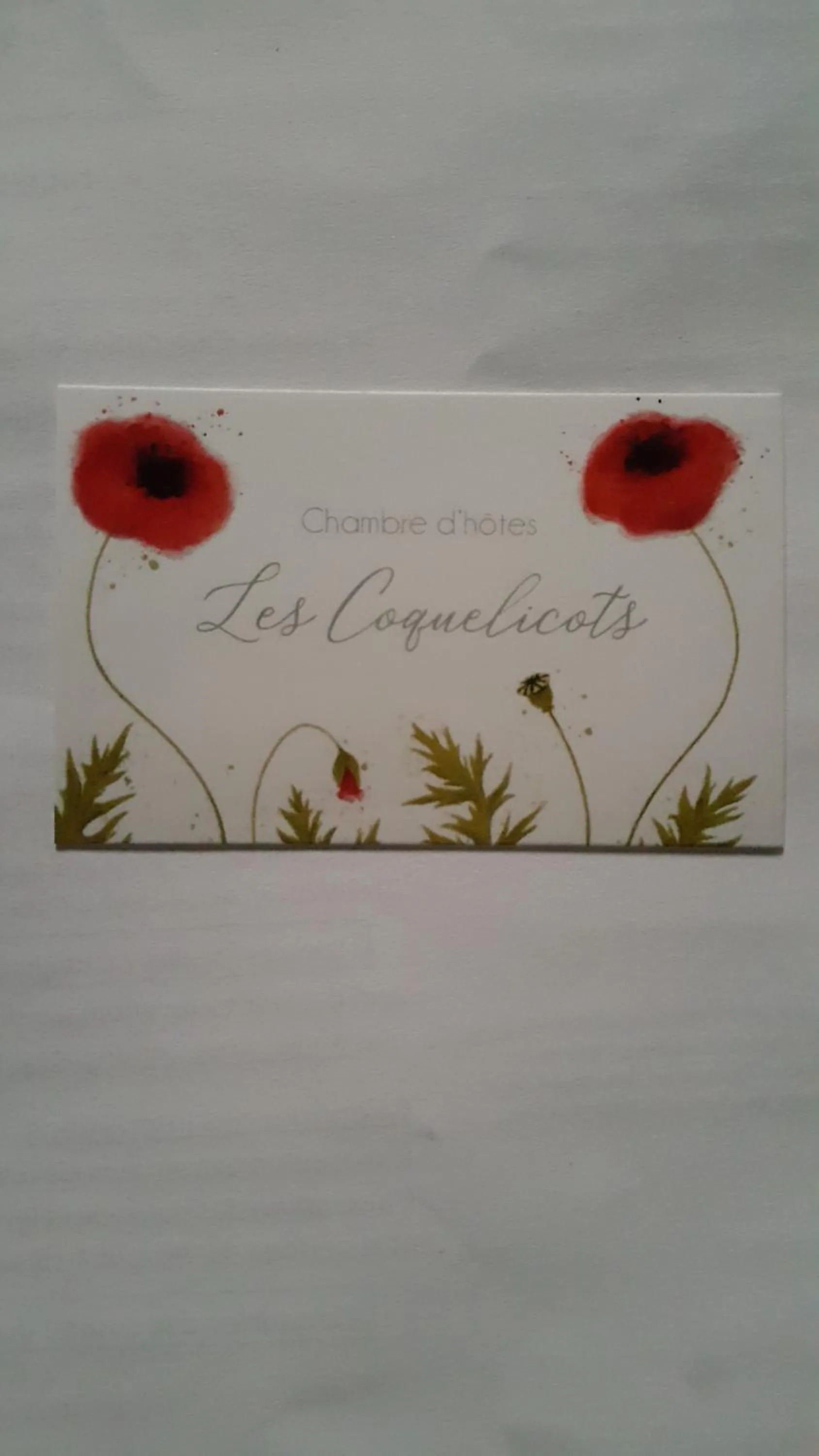 Les Coquelicots