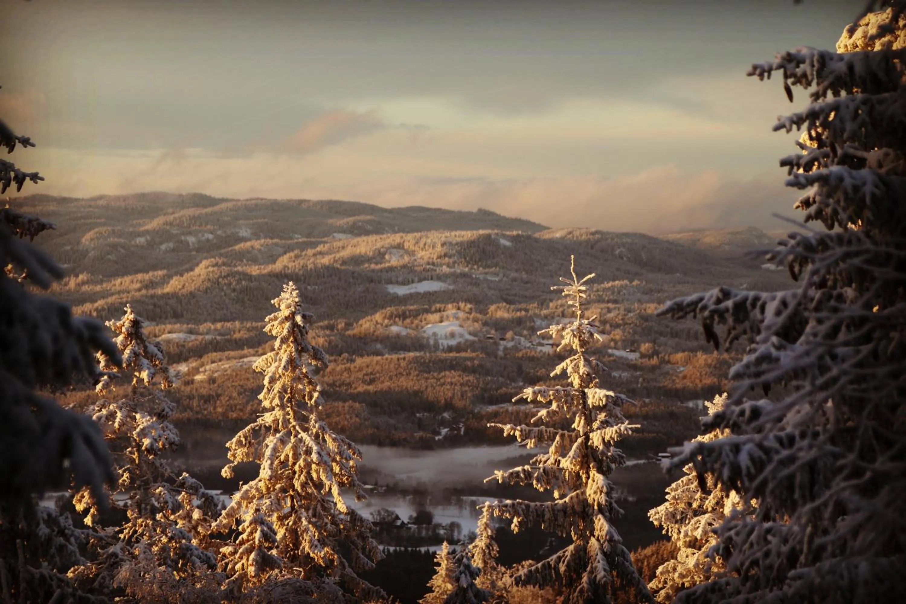 View (from property/room) in Lysebu Hotel