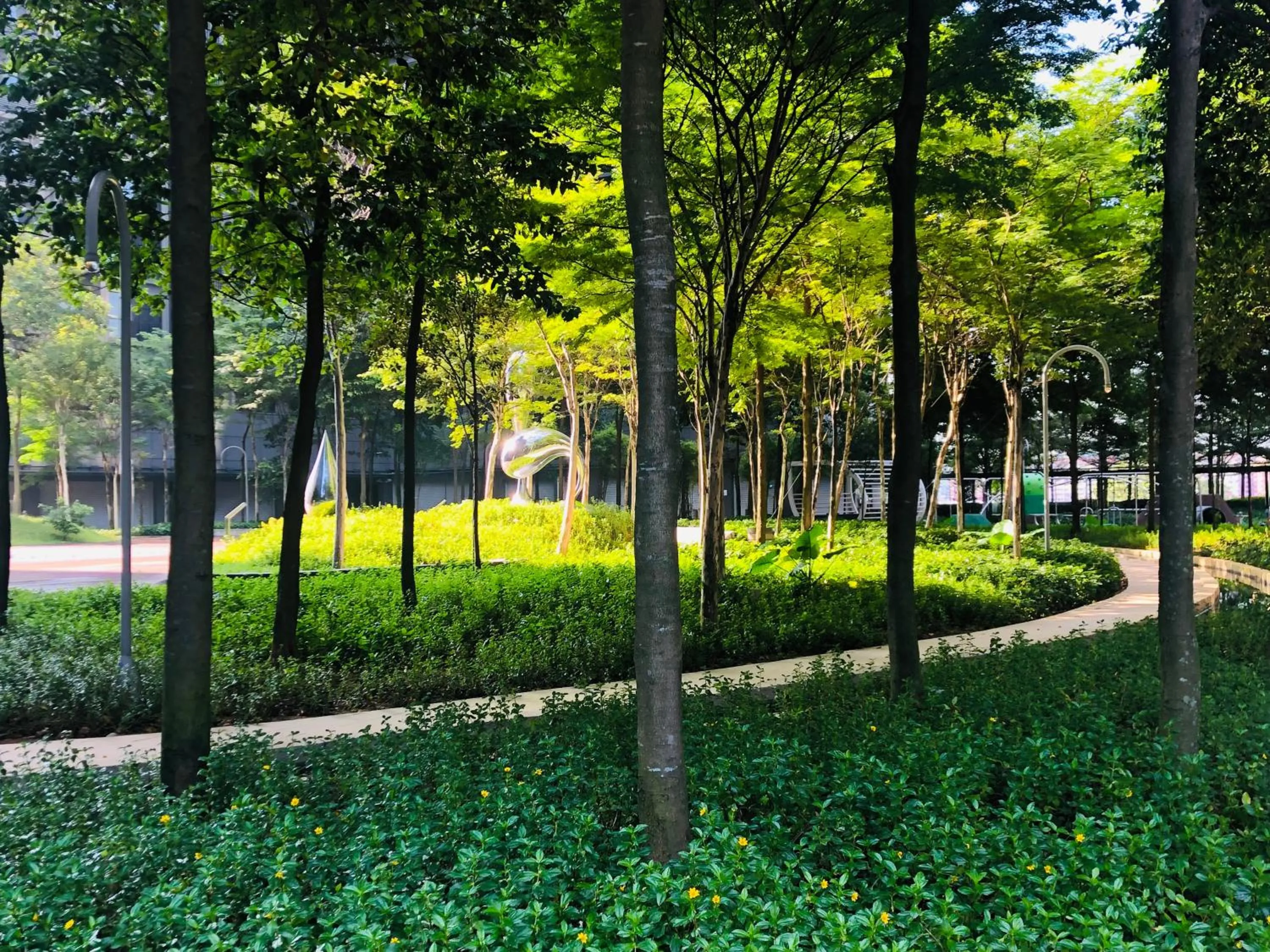 Garden in Takuro Homestay