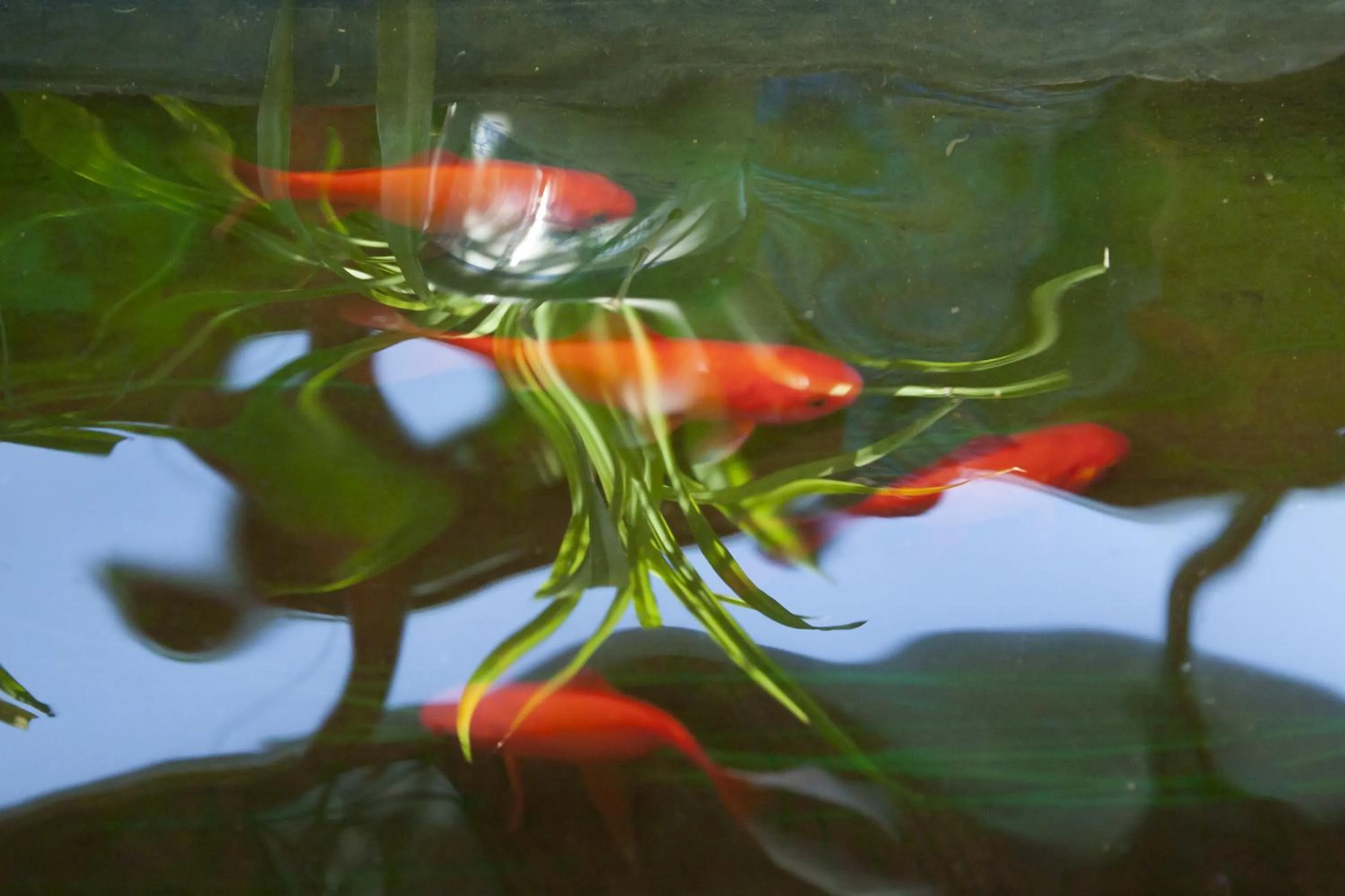 Lounge or bar in The Great Wall Courtyard Hostel