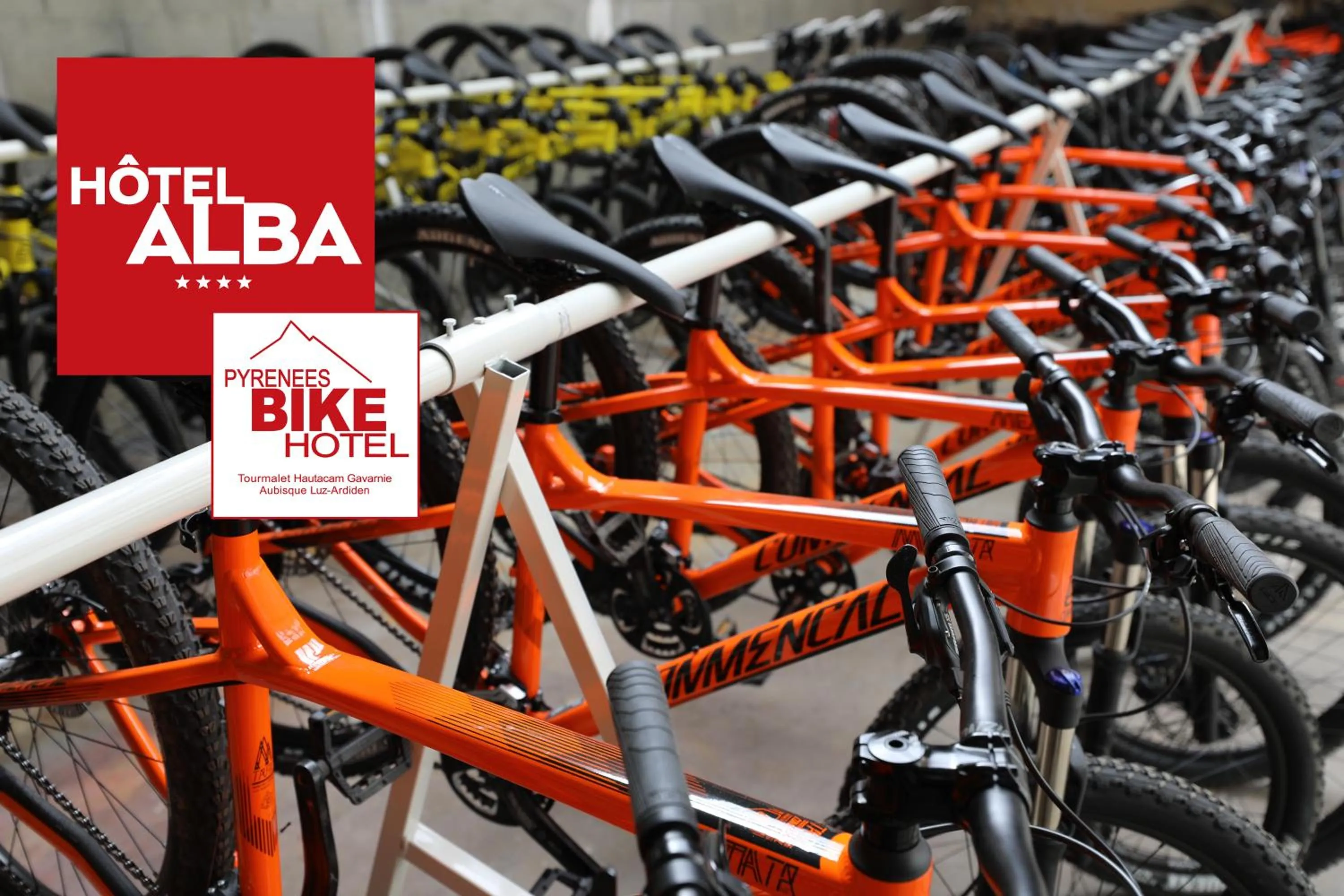 Area and facilities in Hôtel Alba