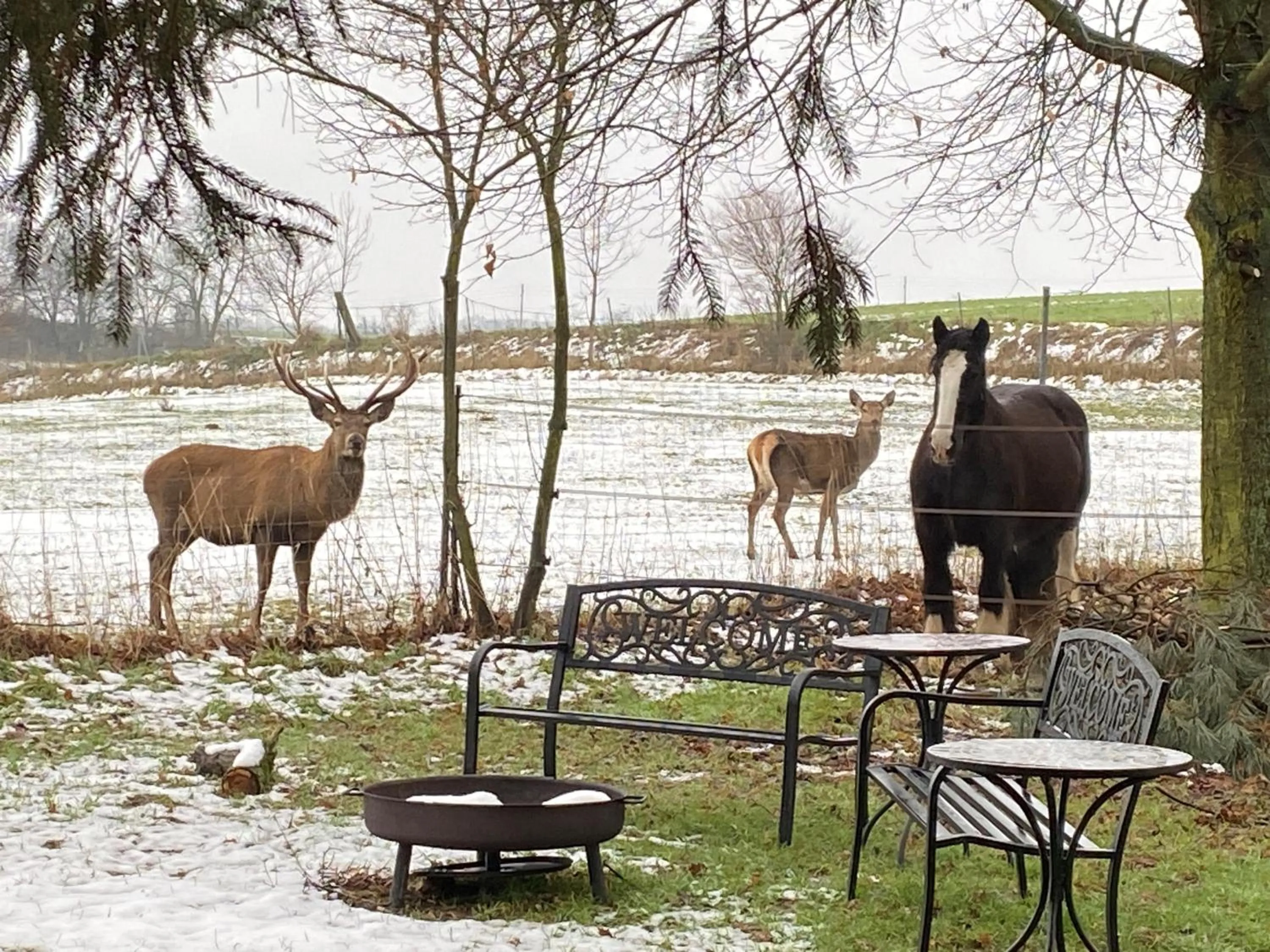 View (from property/room) in Vanilla Hof