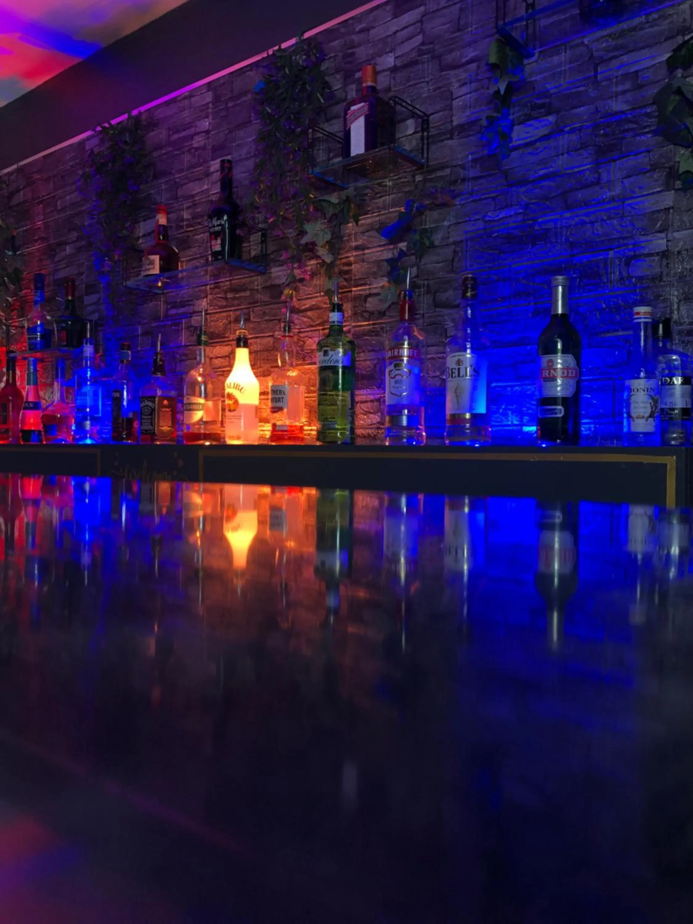 Lounge or bar in Windsor Park Hotel