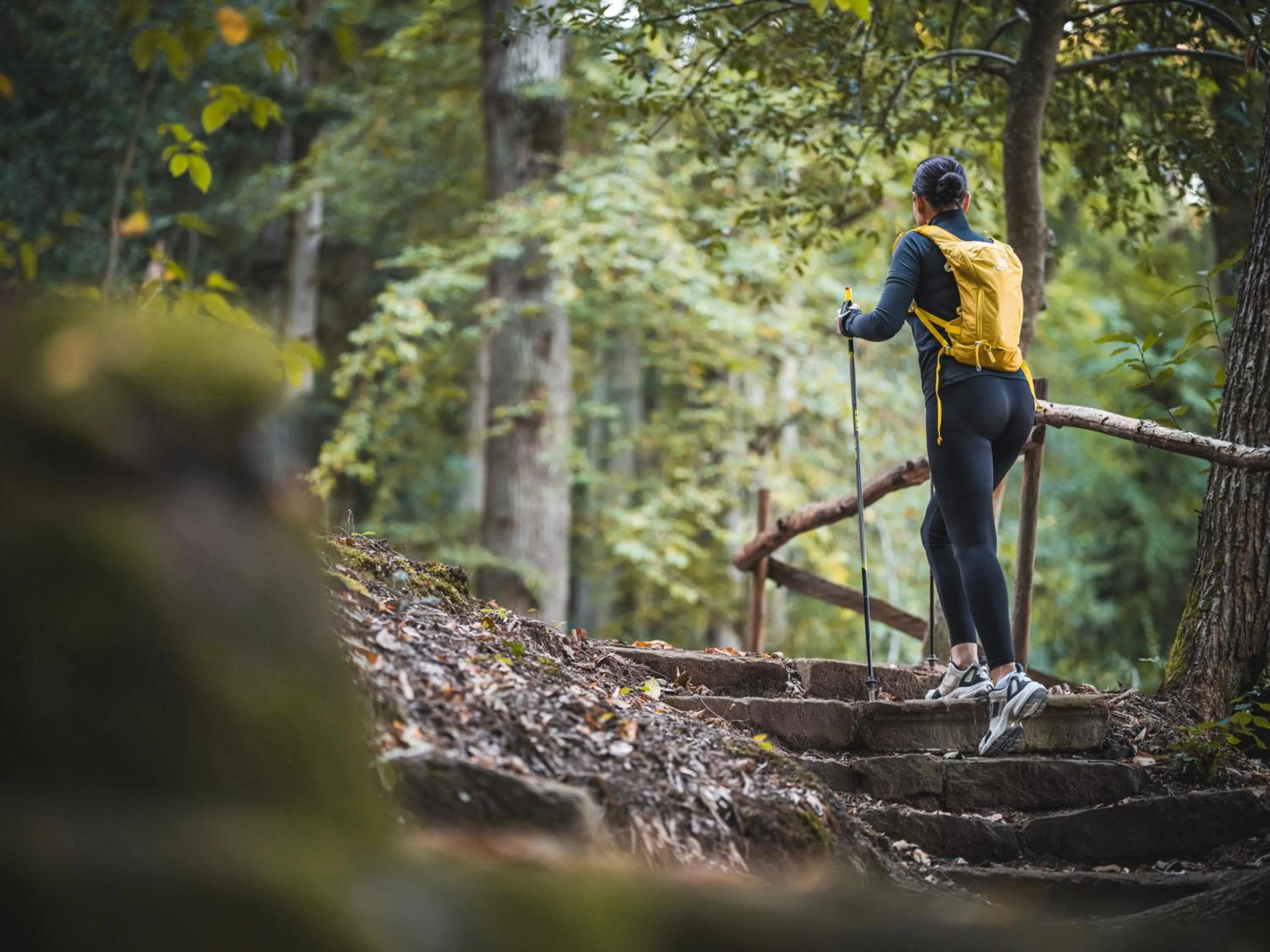 Hiking in 6717 Nature Hôtel & Spa Le Clos des Délices