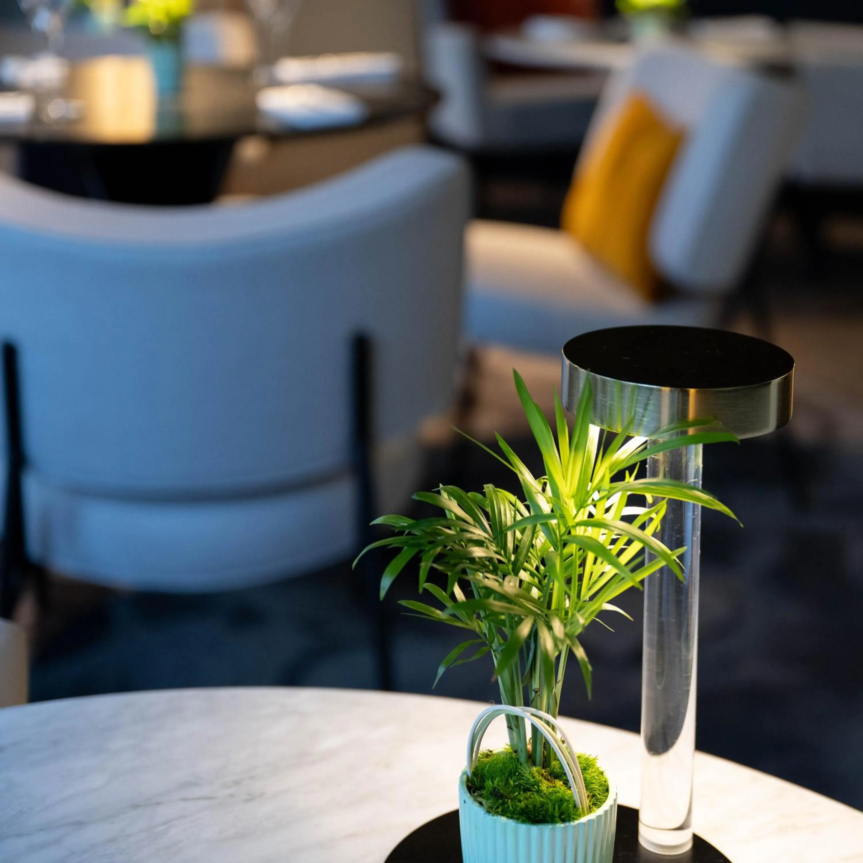 Lounge or bar in Le Domaine Du Colombier