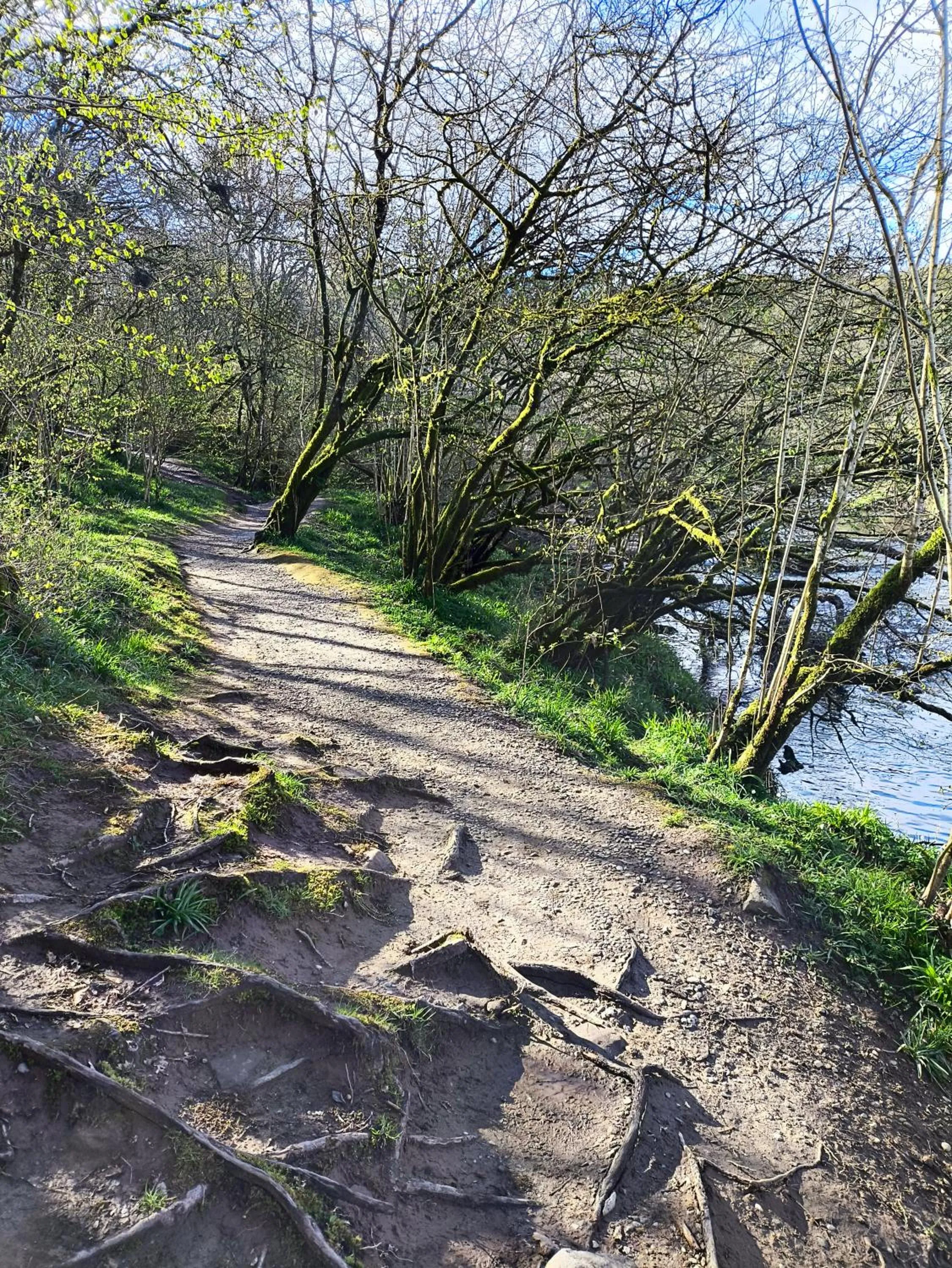 Location in Rob Roy Hotel