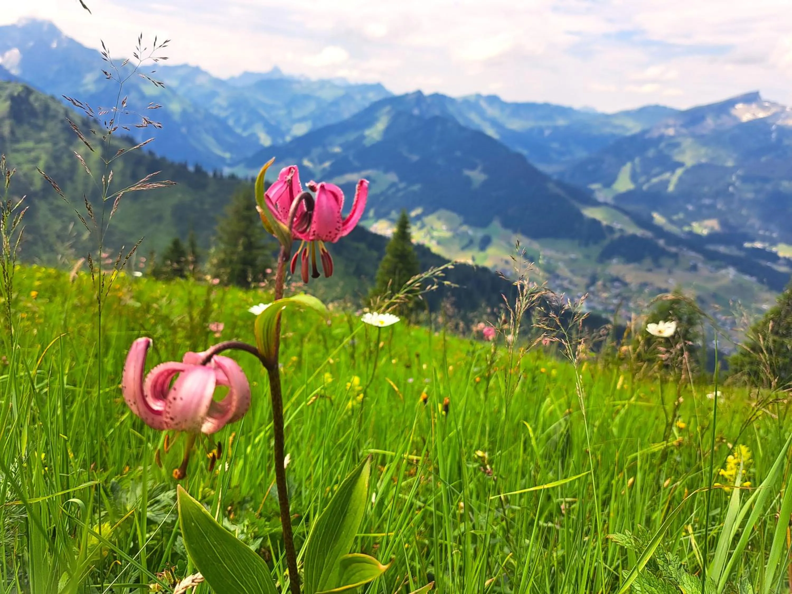 Nearby landmark in Familienhotel Kleinwalsertal