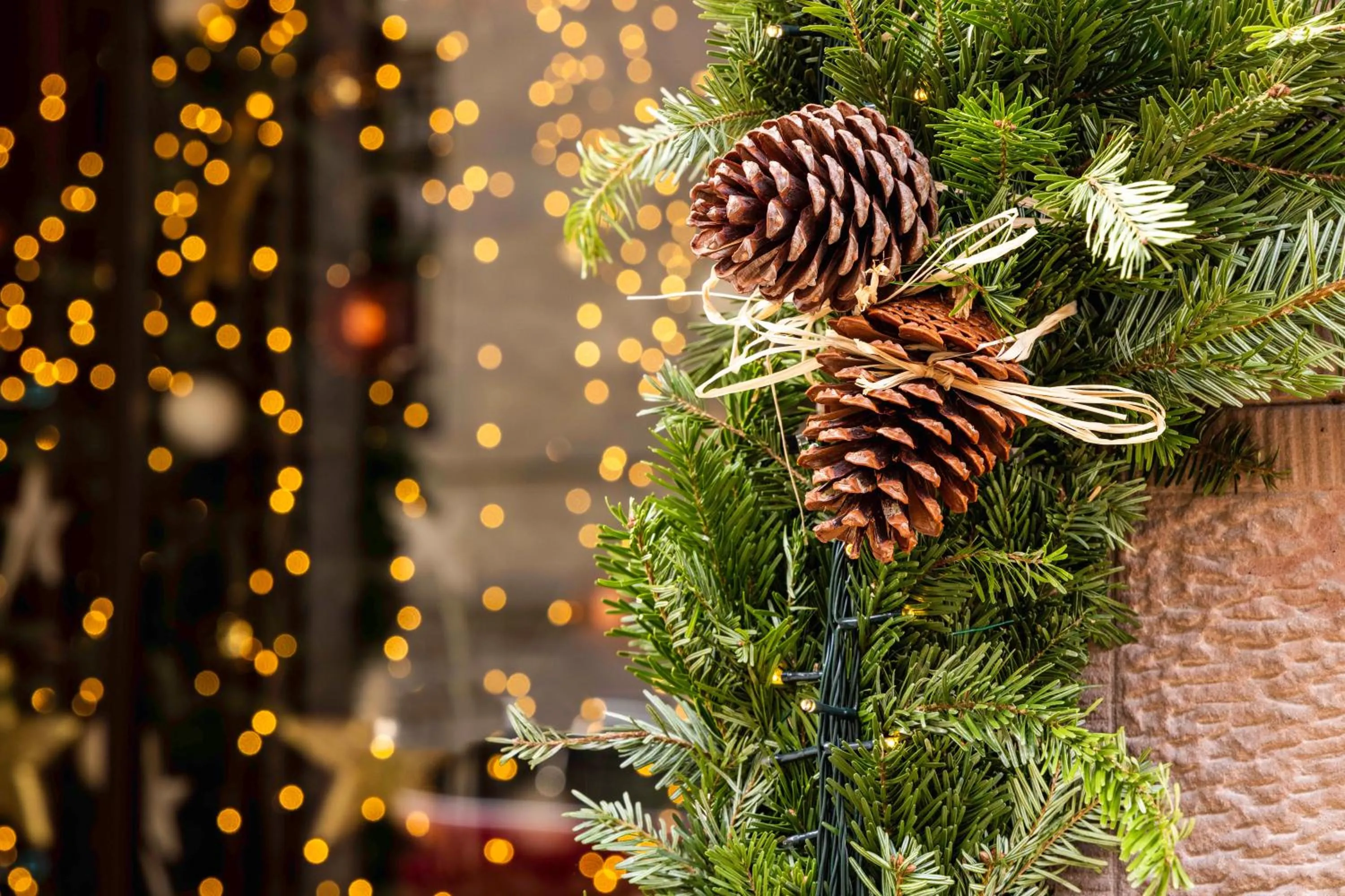 Winter in Hotel La Diligence