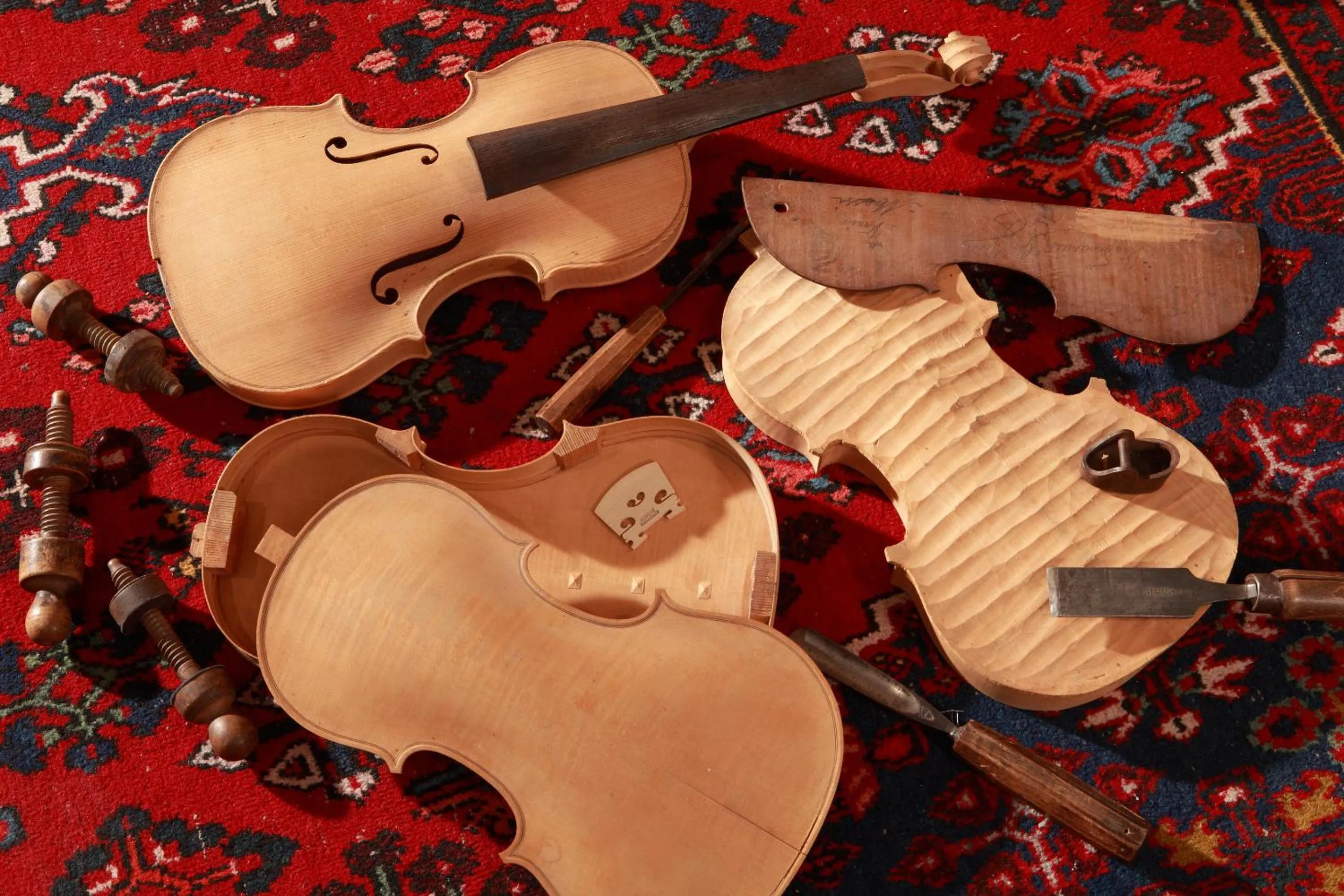 Entertainment in Logis Le Luth