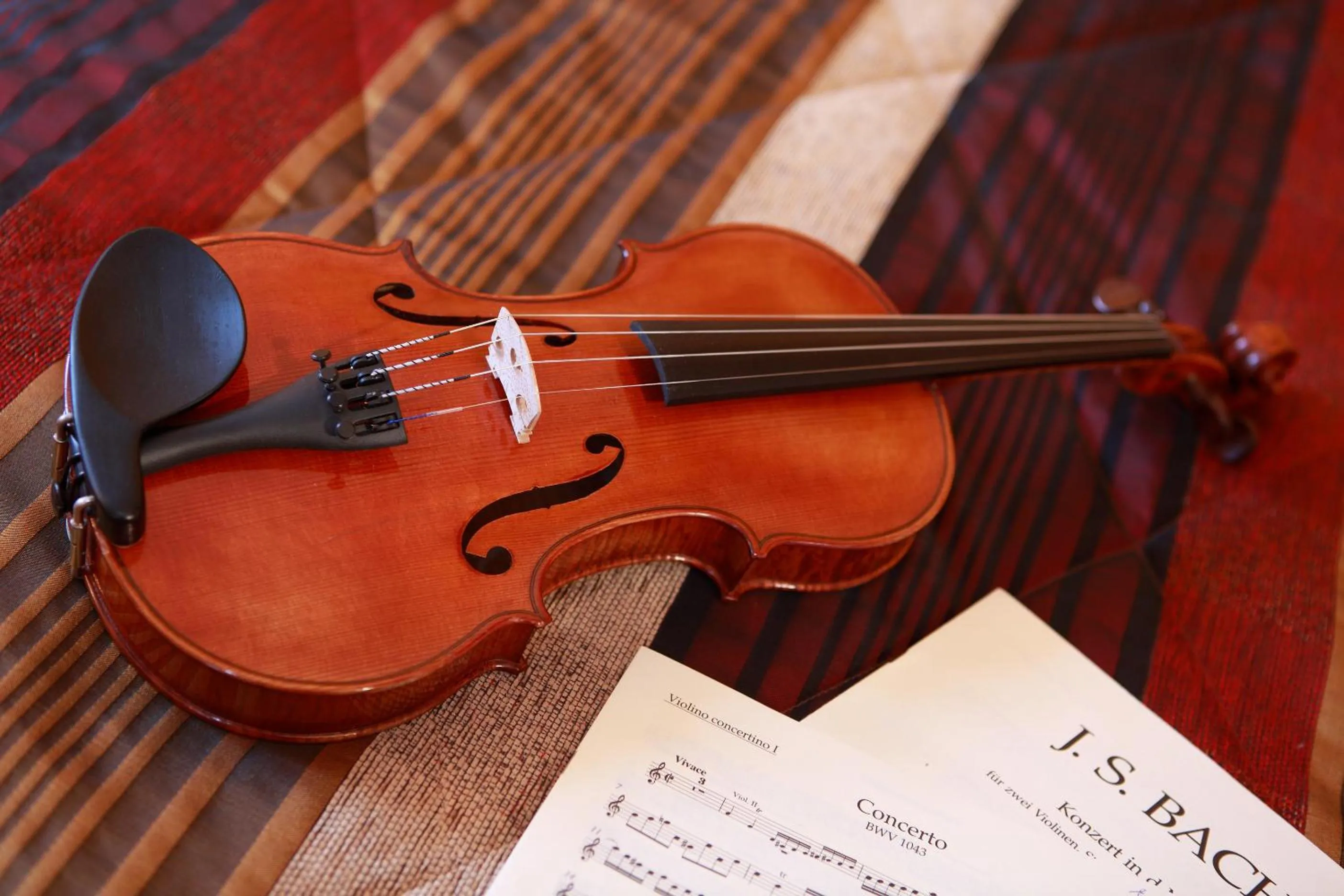 Text overlay in Logis Le Luth