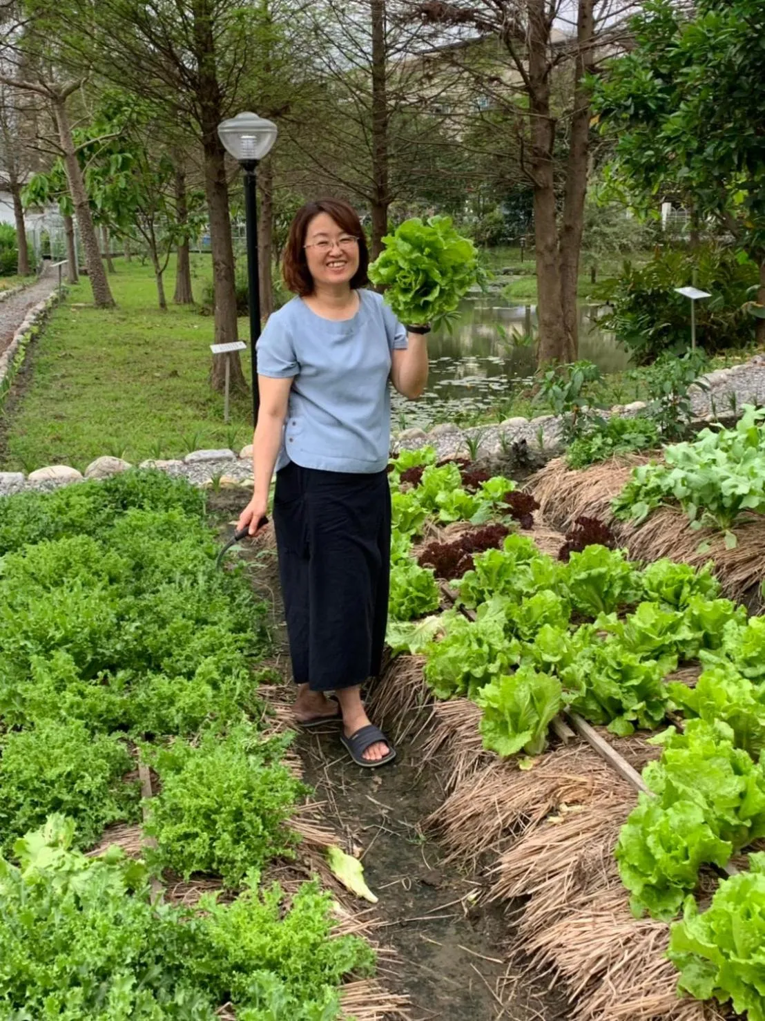 Activities in Yosemite Homestay