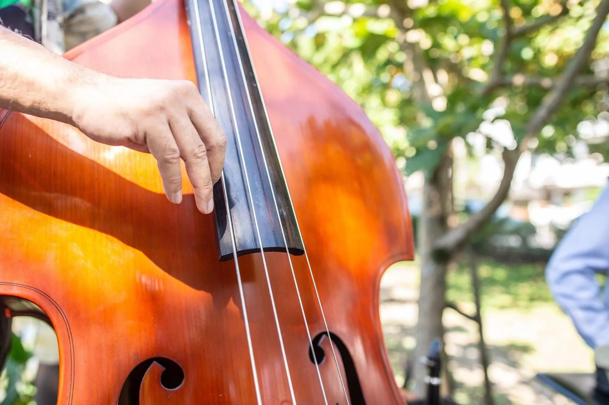 Evening entertainment in Yosemite Homestay
