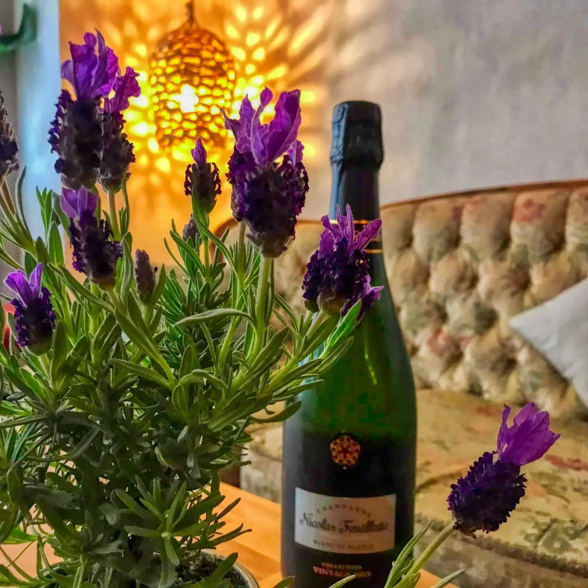 Restaurant/places to eat in Steinhäuser Hof