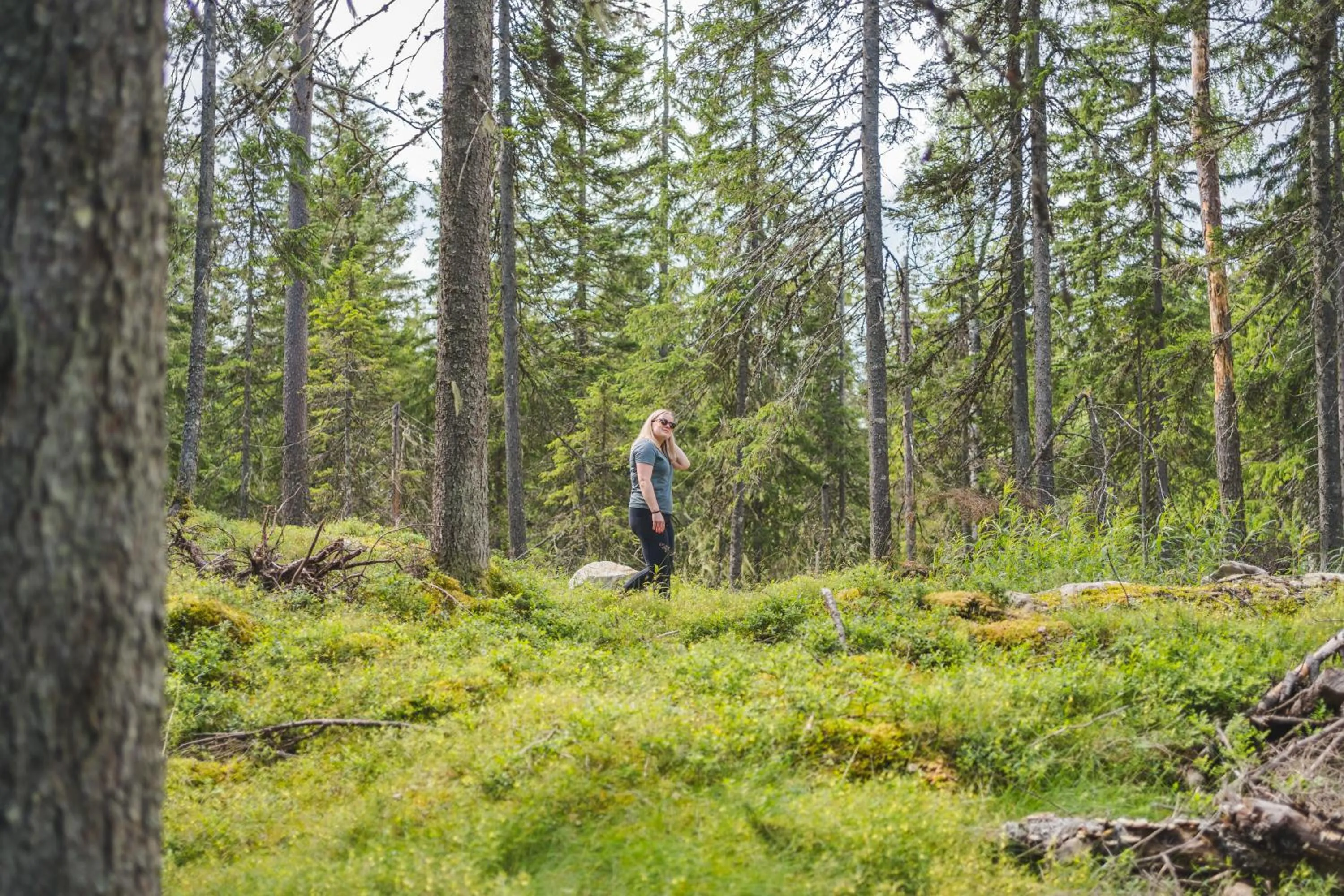 Summer in Break Sokos Hotel Tahko