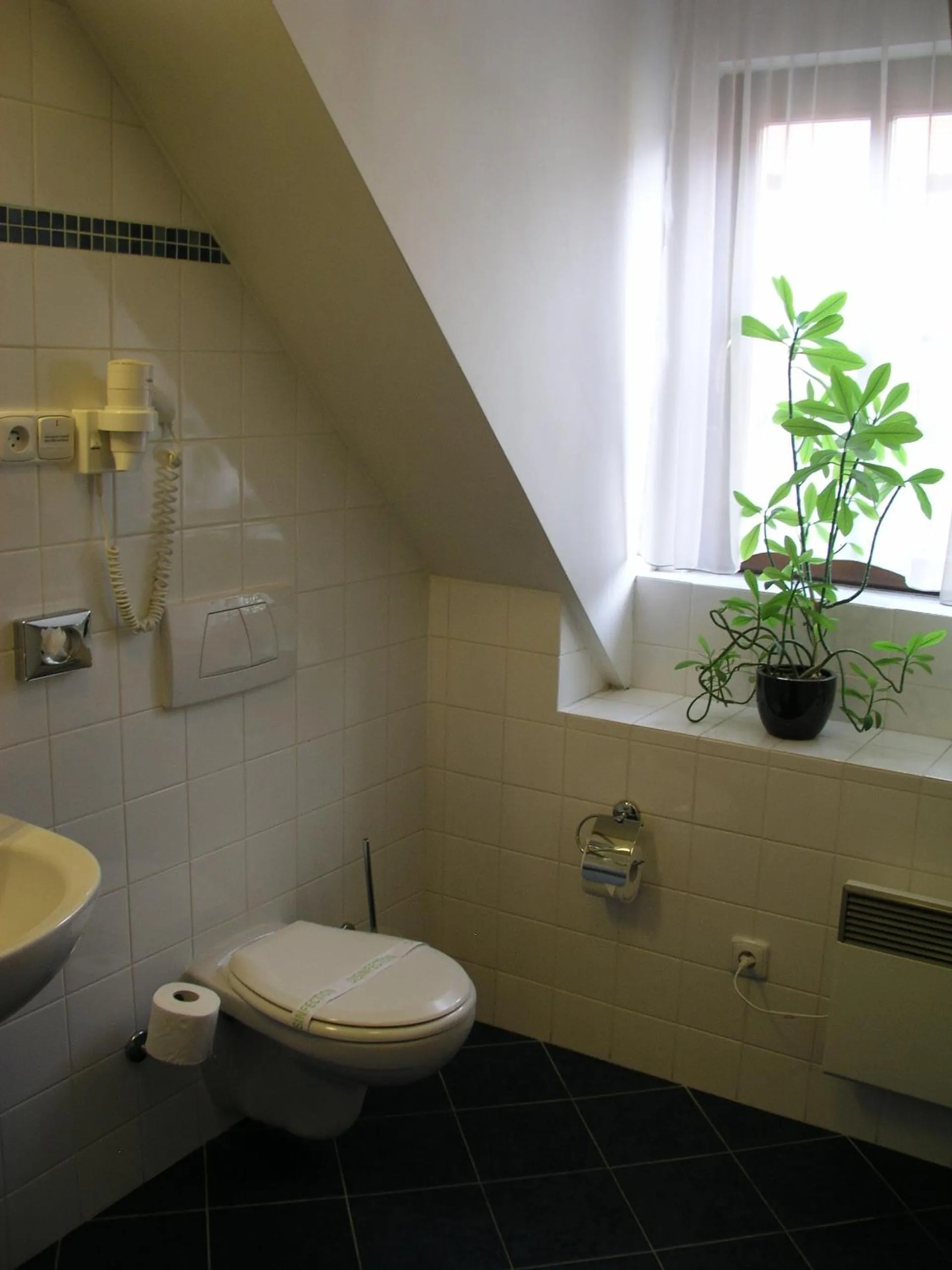 Toilet in Hejtmanský dvůr