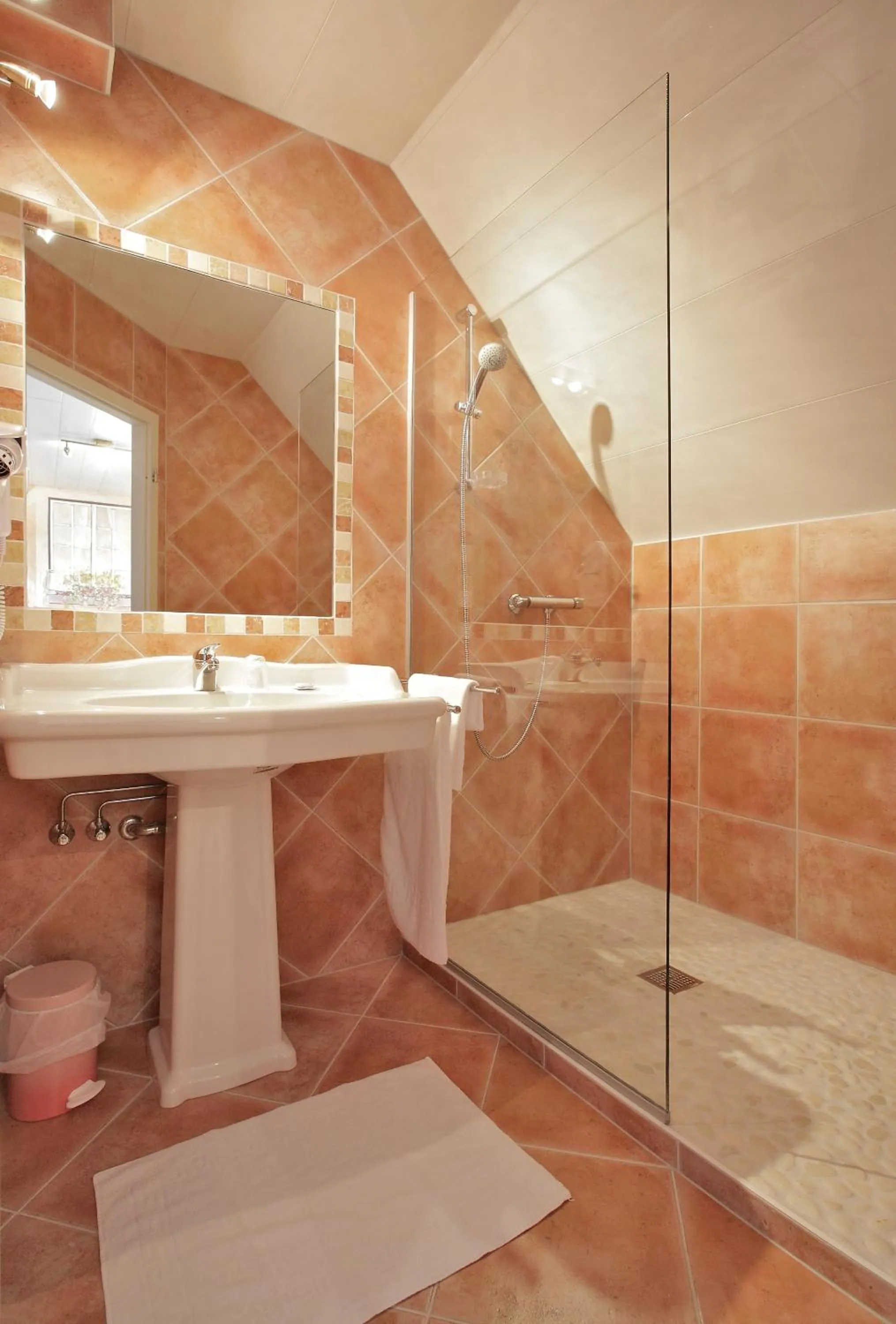 Bathroom in Hotel Restaurant Champ Alsace